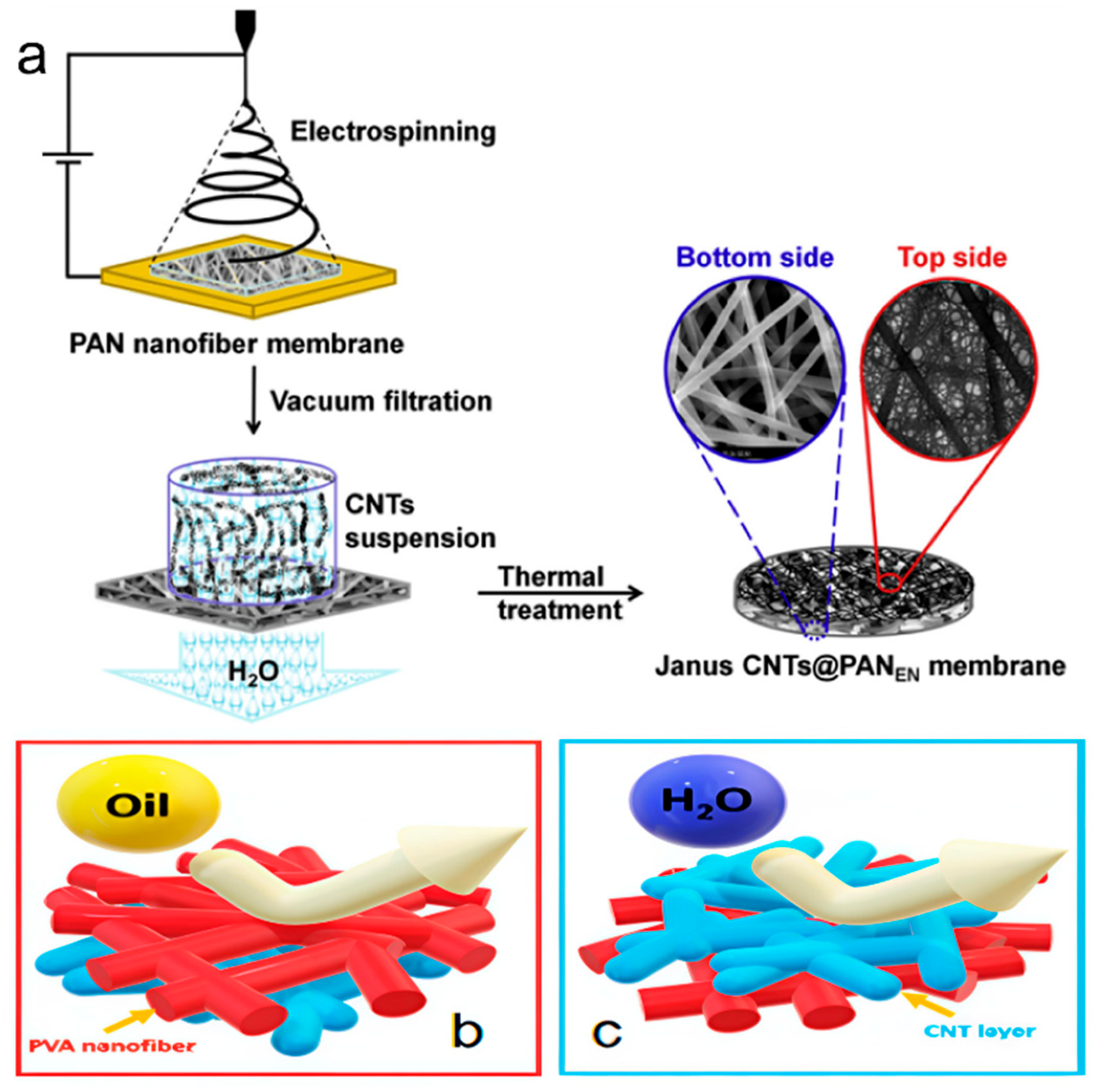 Nanomaterials 15 01424 g007