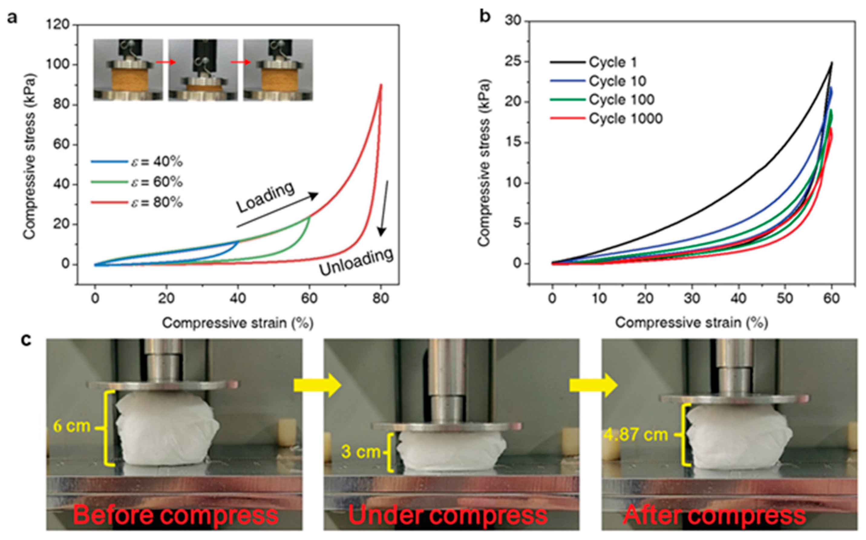 Nanomaterials 15 01424 g009