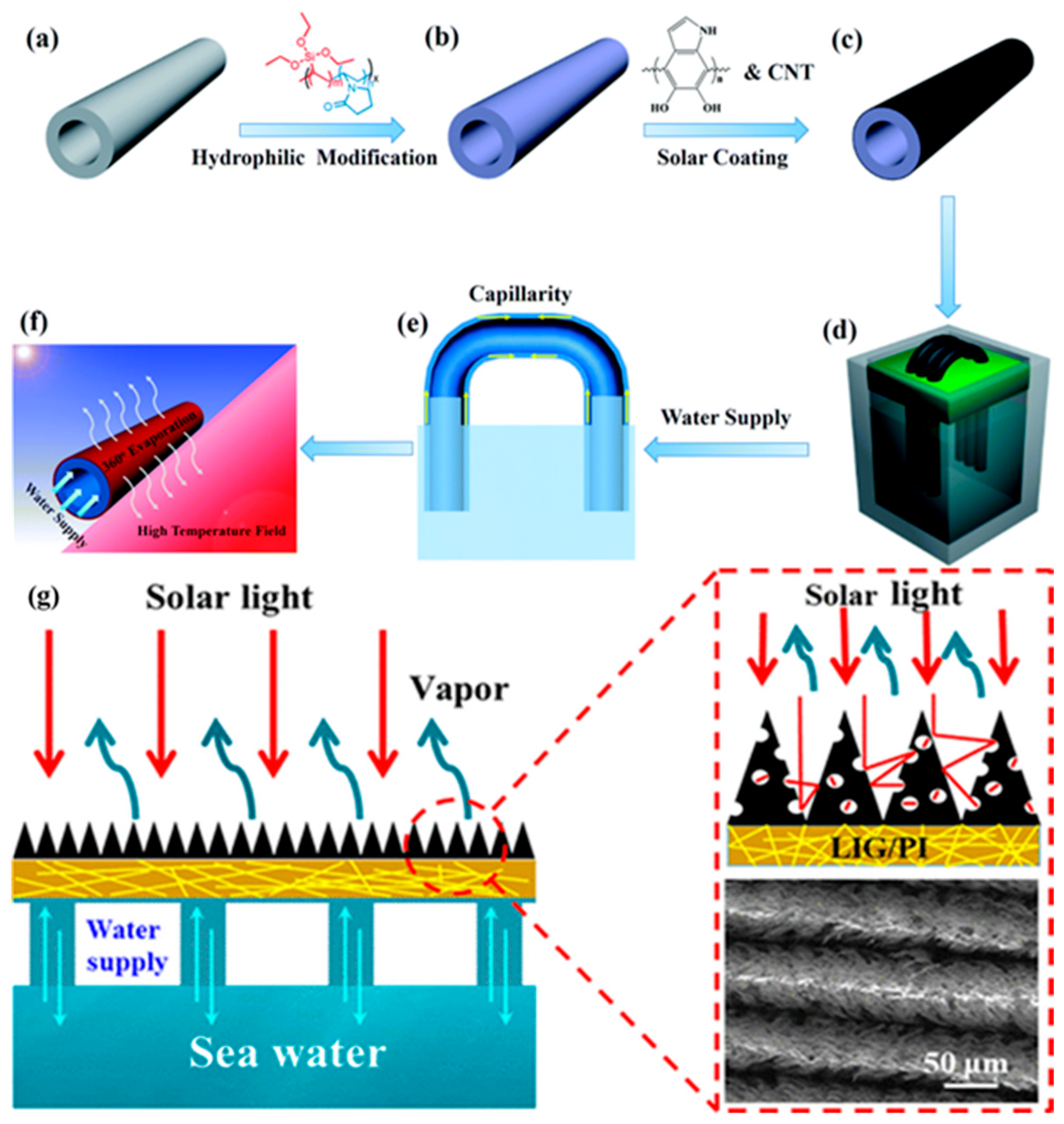 Nanomaterials 15 01424 g011