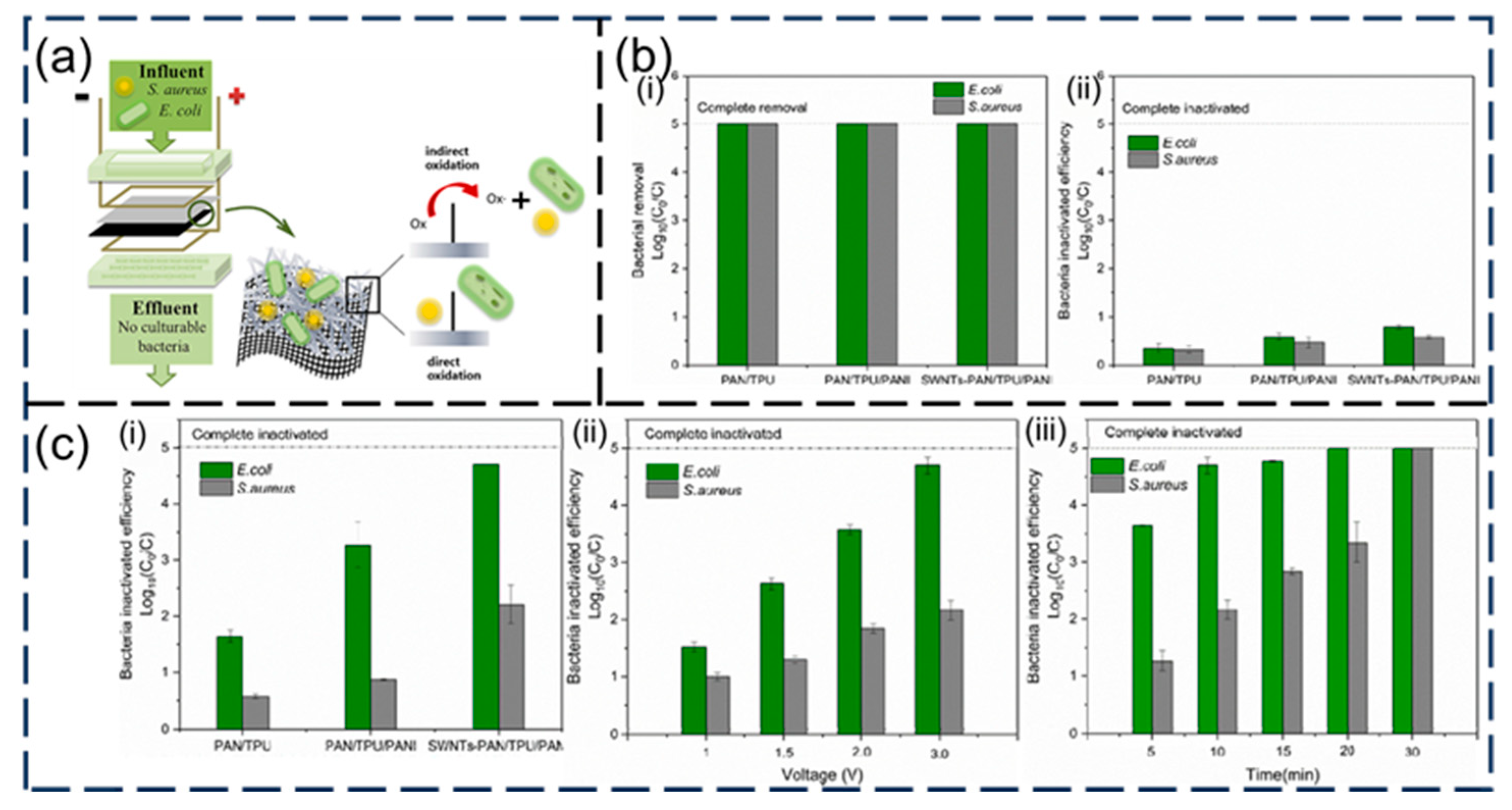 Nanomaterials 15 01424 g015