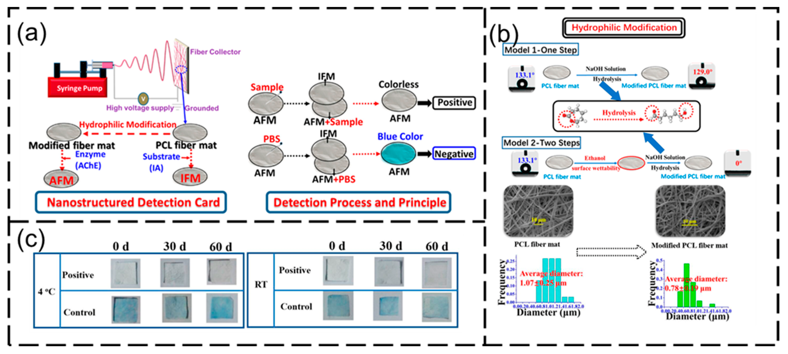 Nanomaterials 15 01424 g016