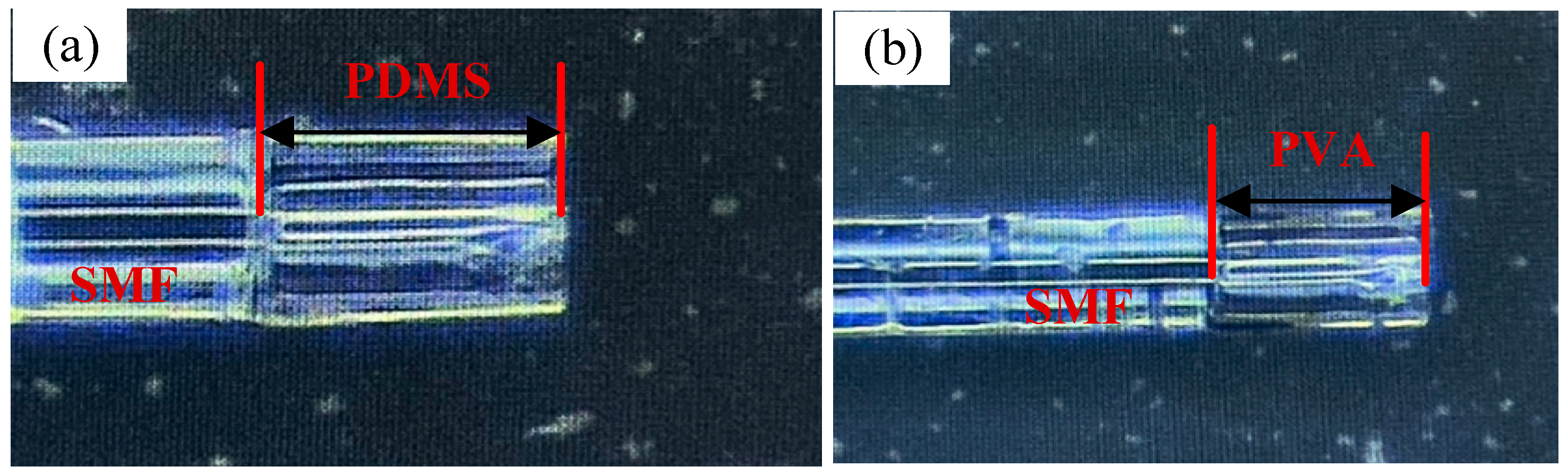 Nanomaterials 15 01427 g006 Nanomaterials 15 01427 g006
