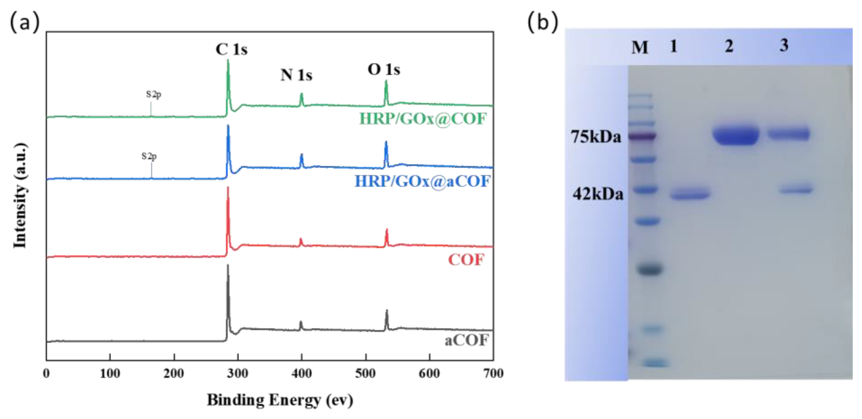 Nanomaterials 15 01431 g005