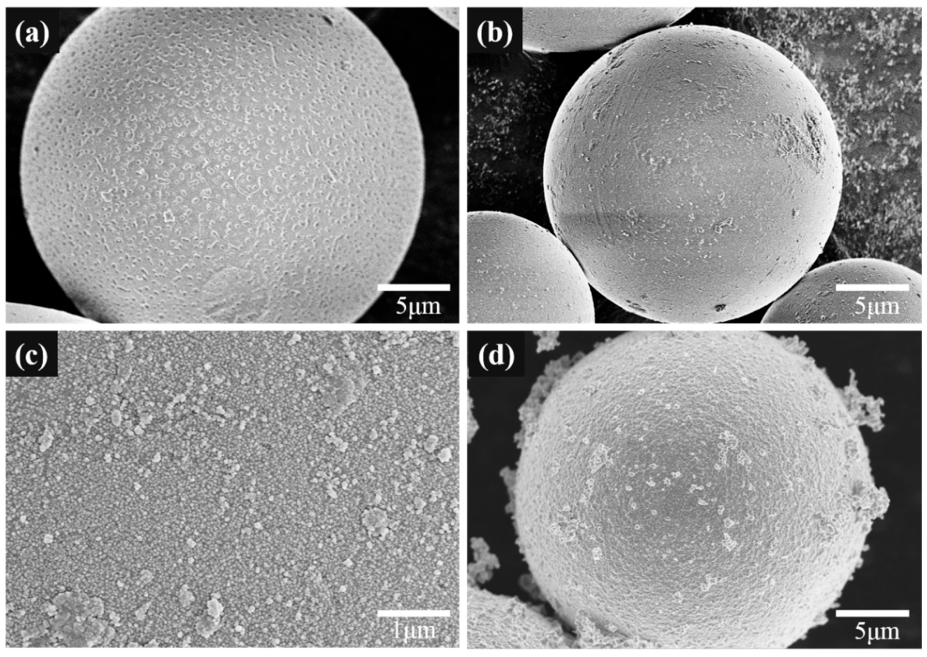 Nanomaterials 15 01433 g001