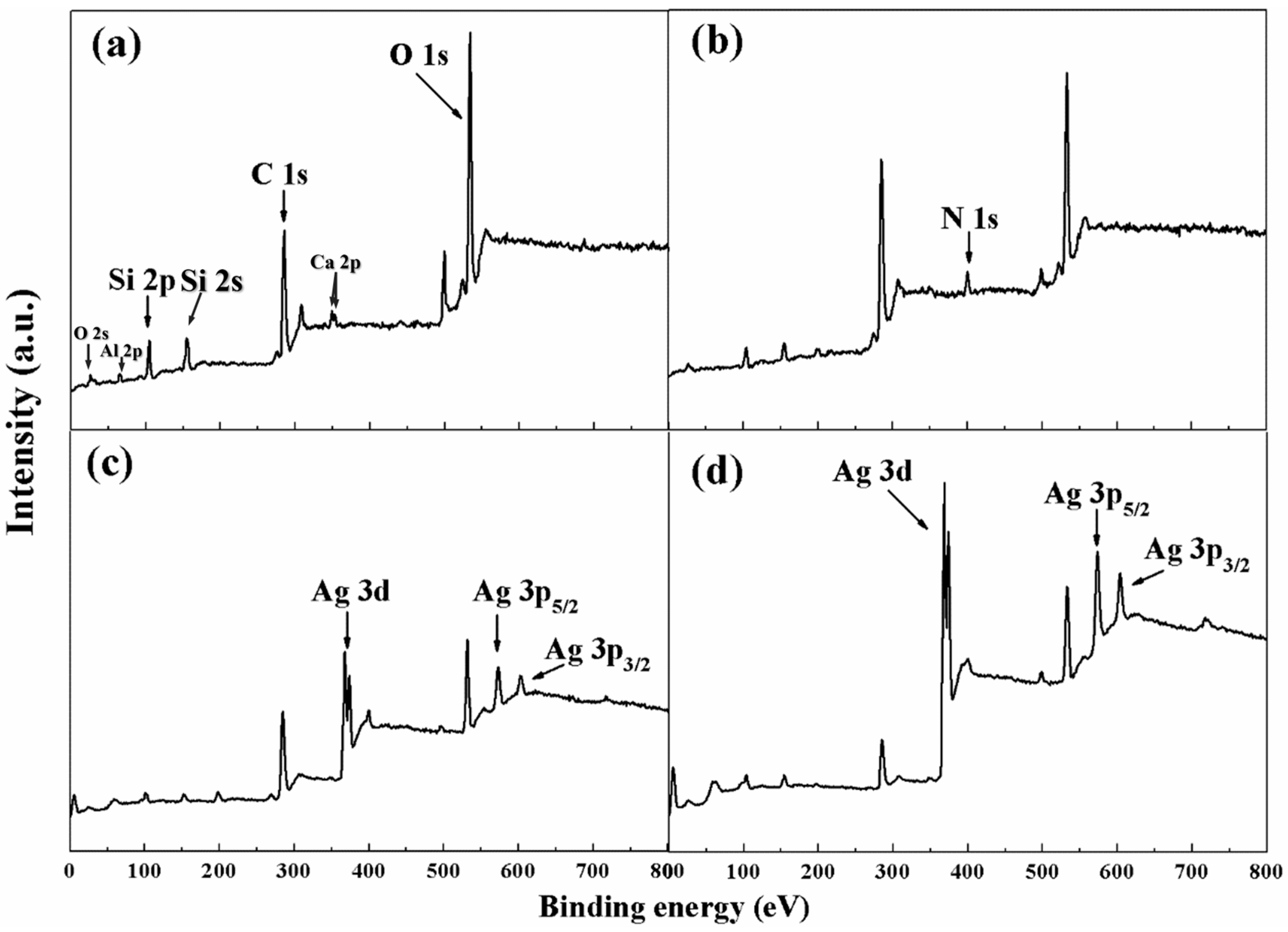 Nanomaterials 15 01433 g002