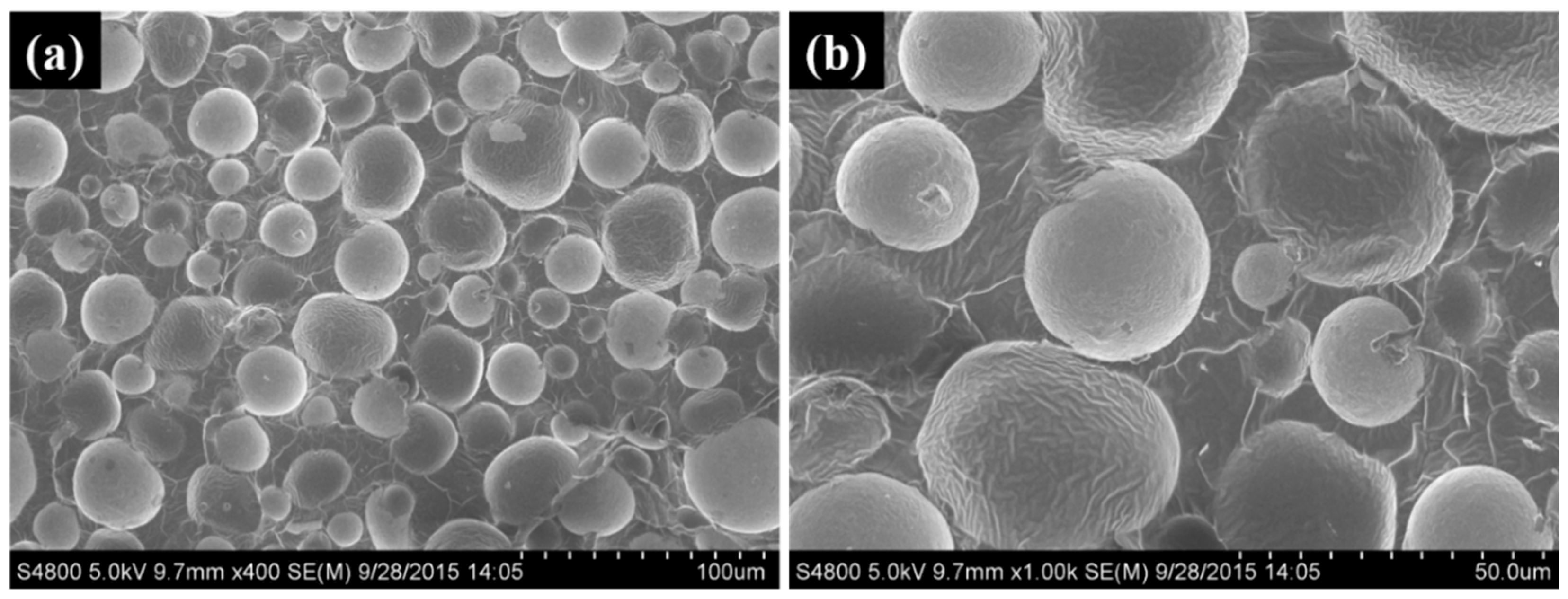 Nanomaterials 15 01433 g009
