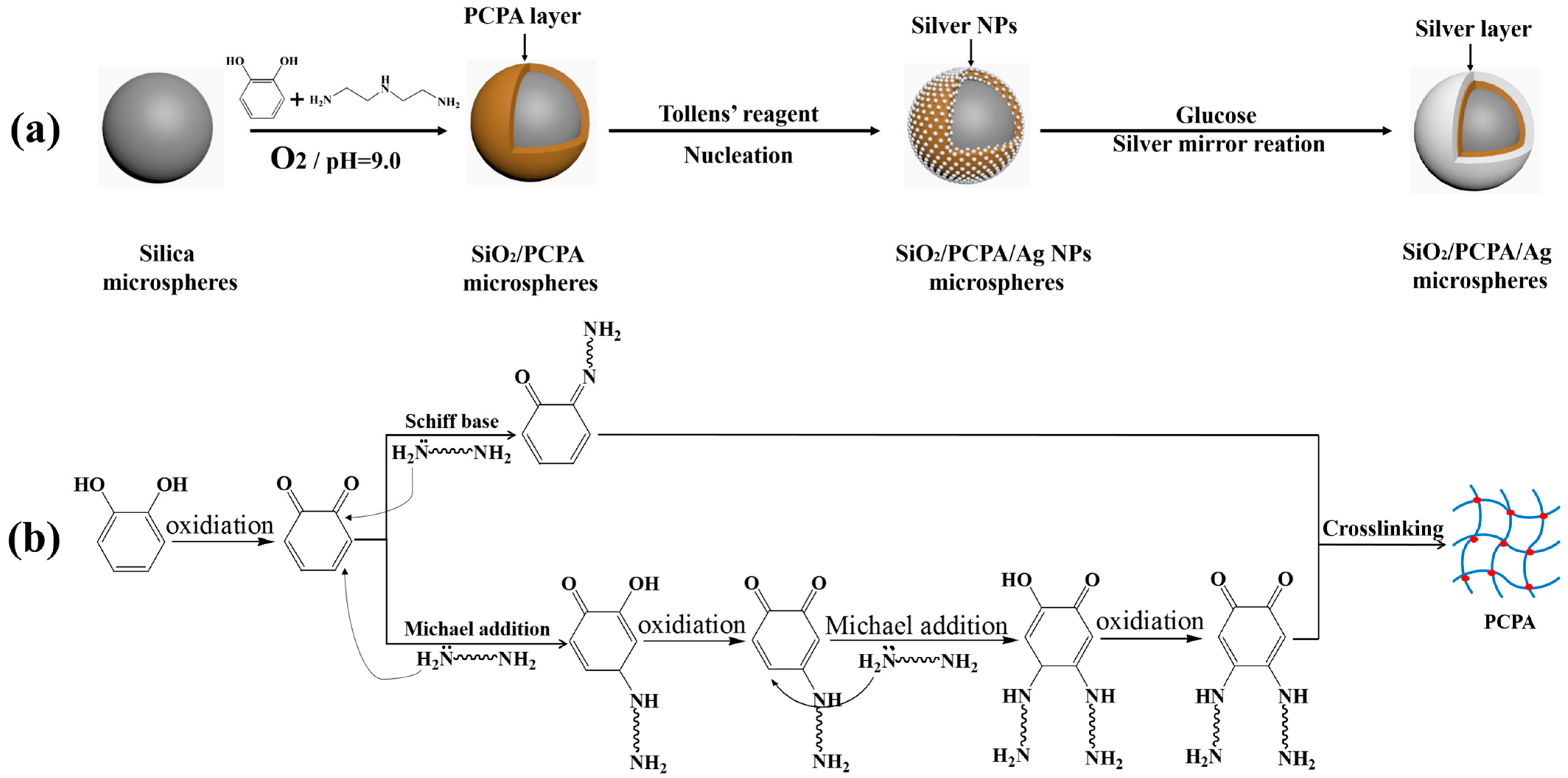 Nanomaterials 15 01433 sch001