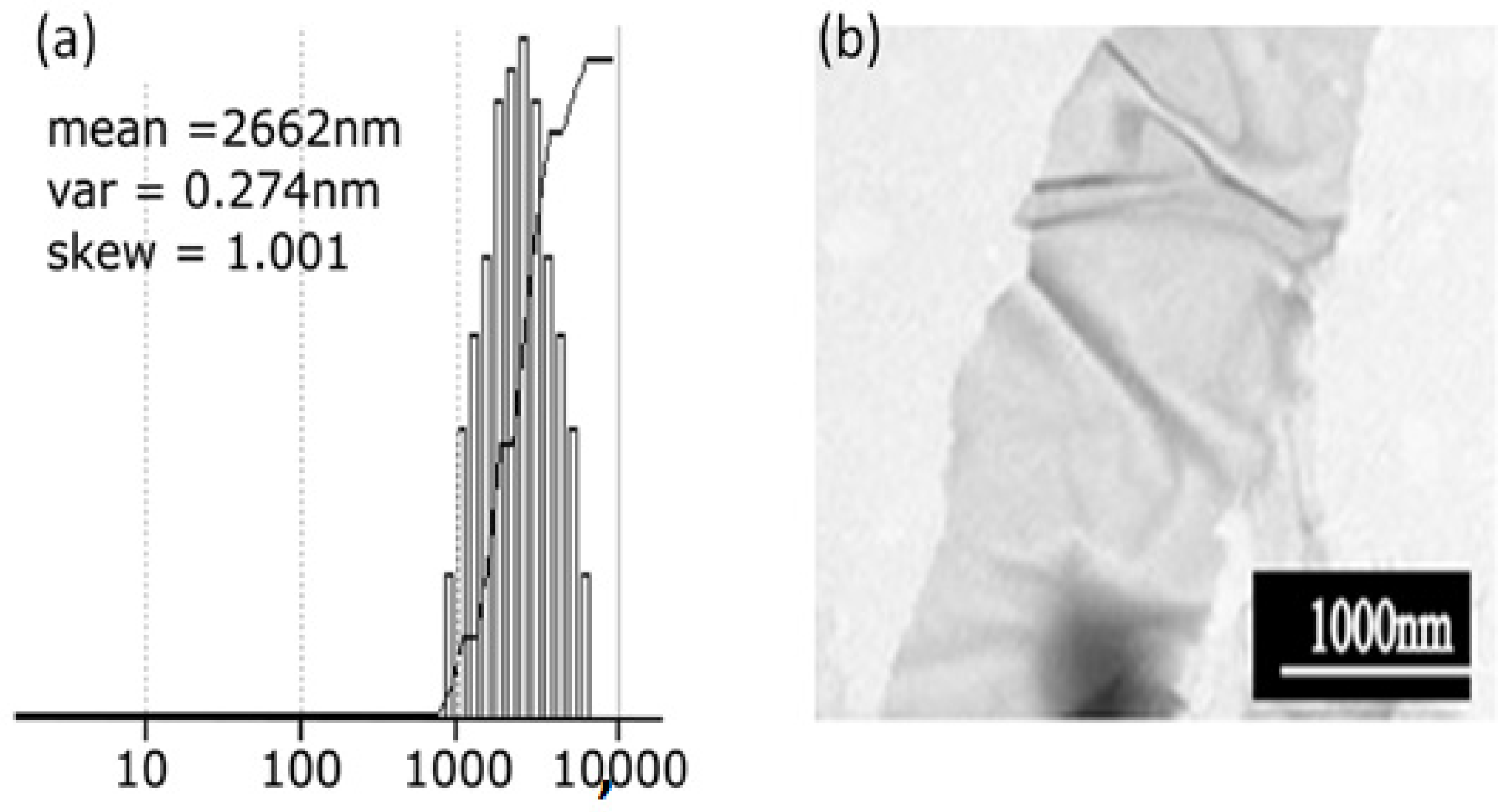 Nanomaterials 15 01438 g001