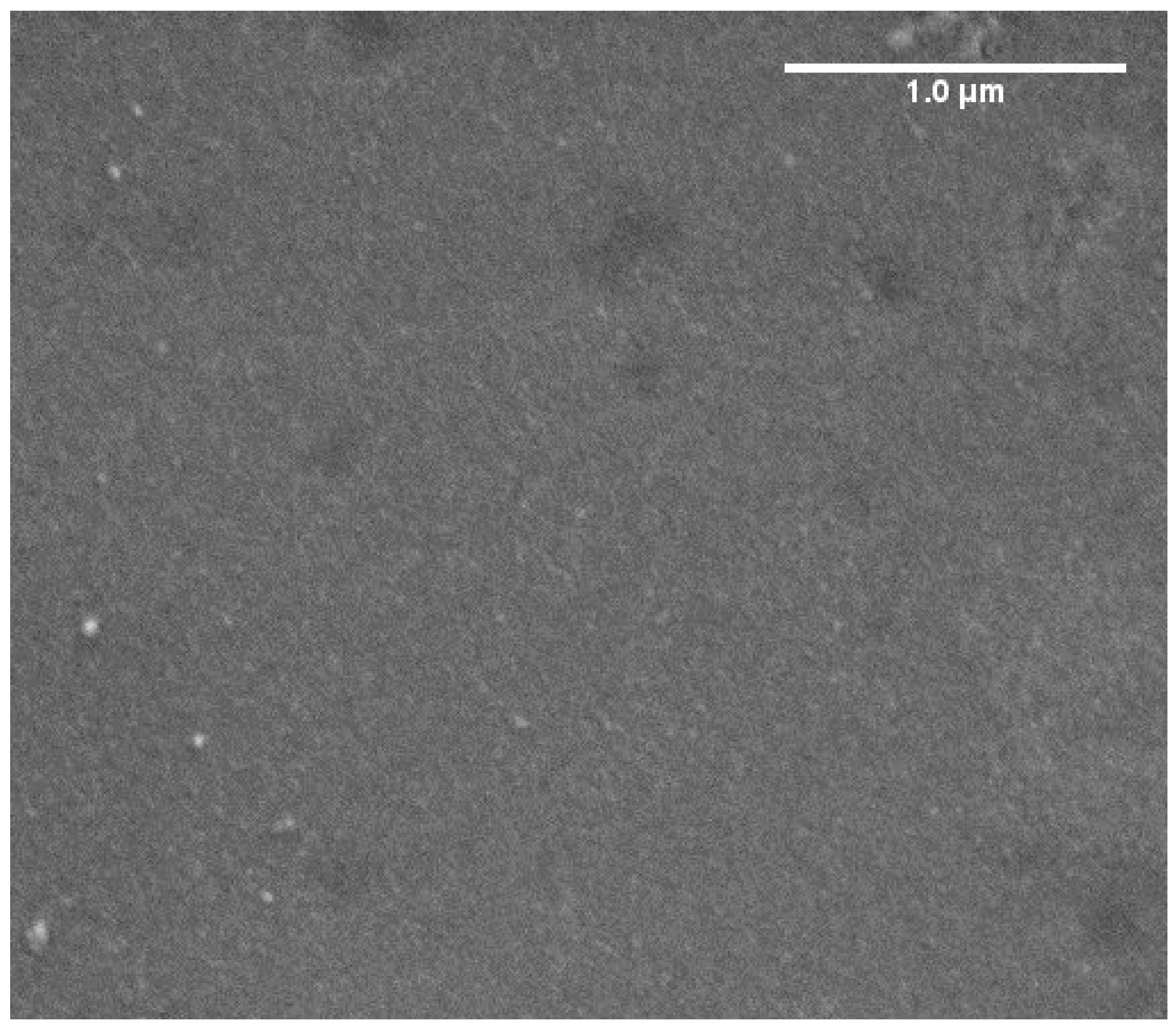 Nanomaterials 15 01438 g003