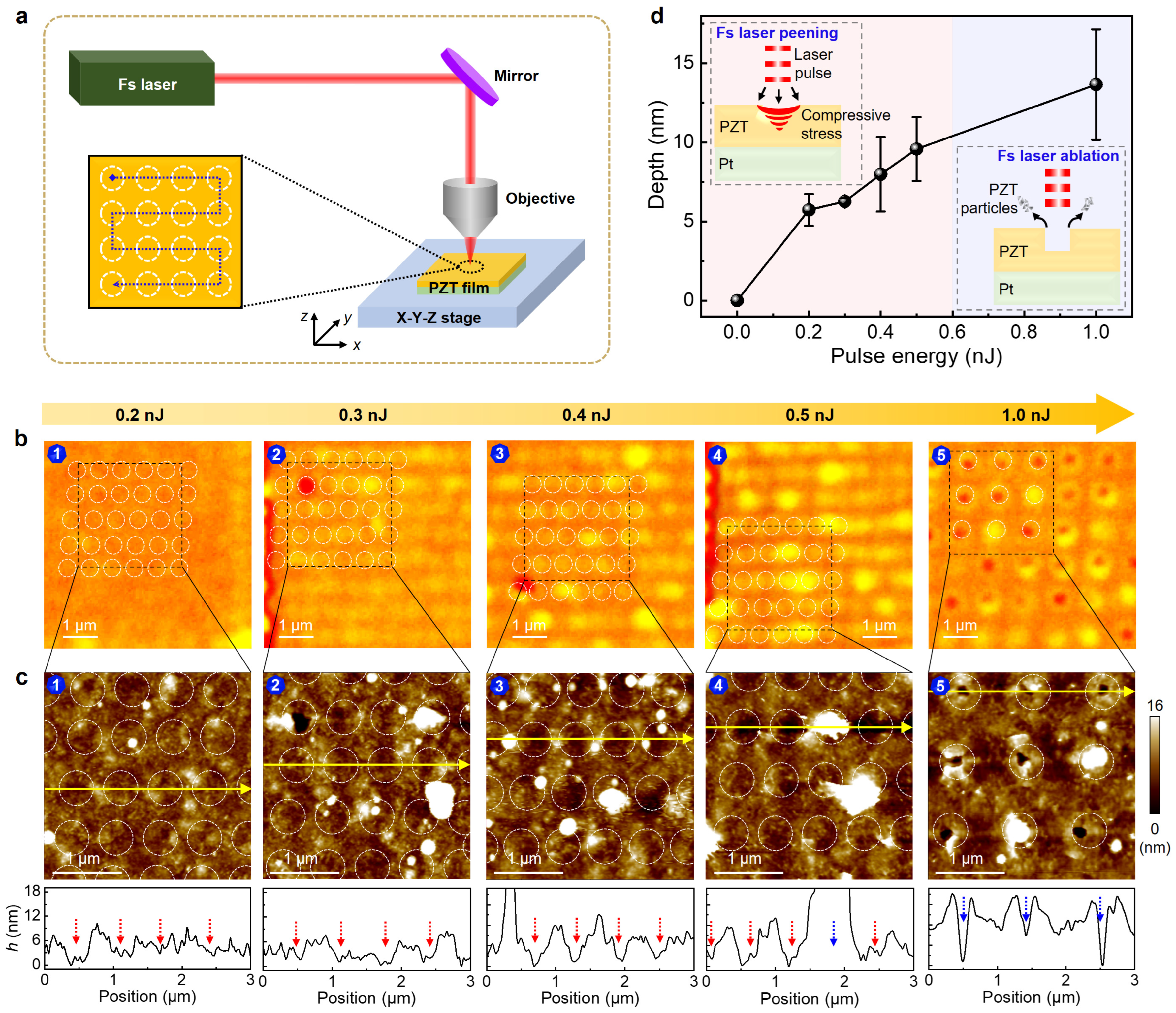 Nanomaterials 15 01450 g002