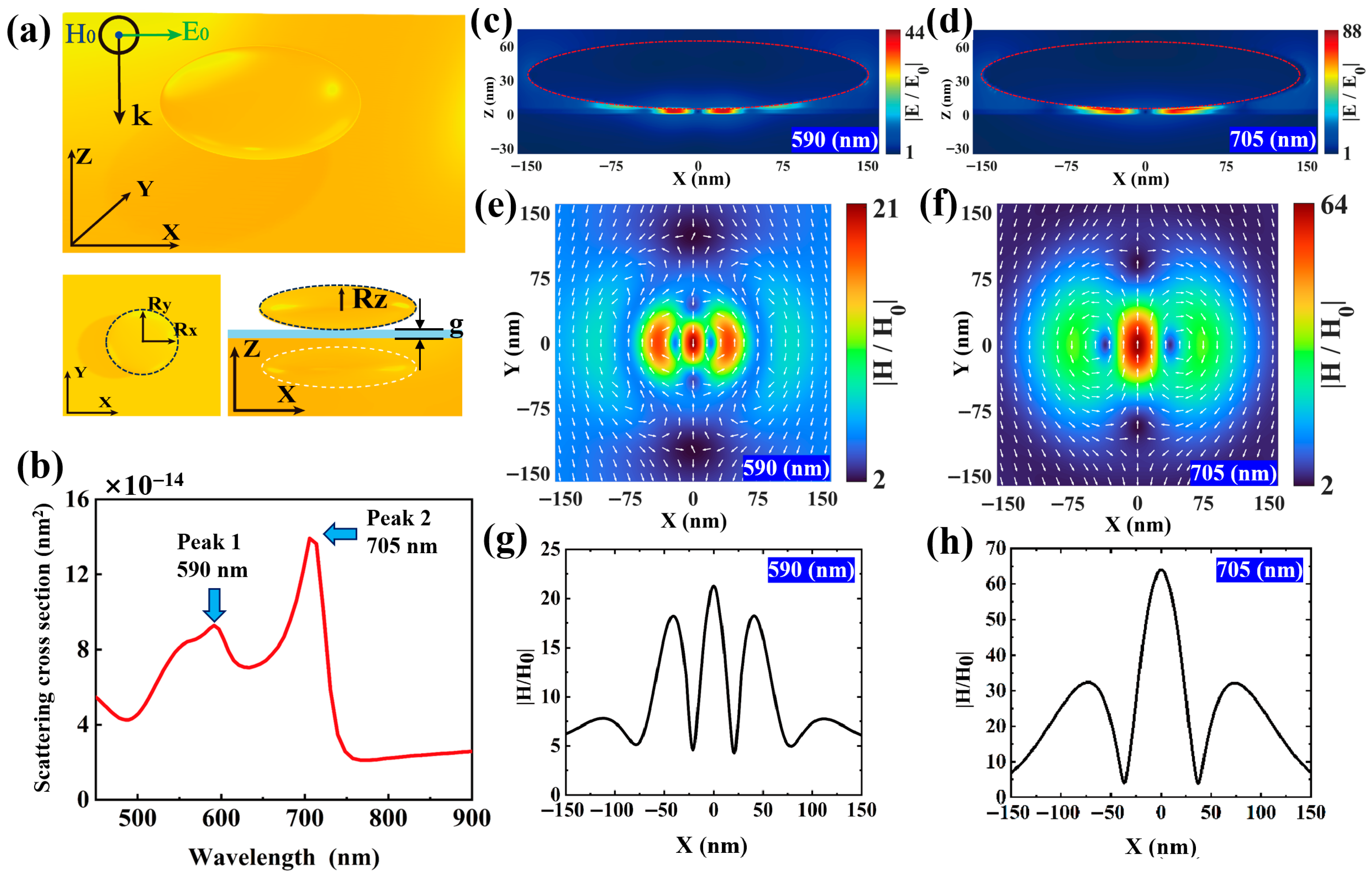 Nanomaterials 15 01451 g001 Nanomaterials 15 01451 g001