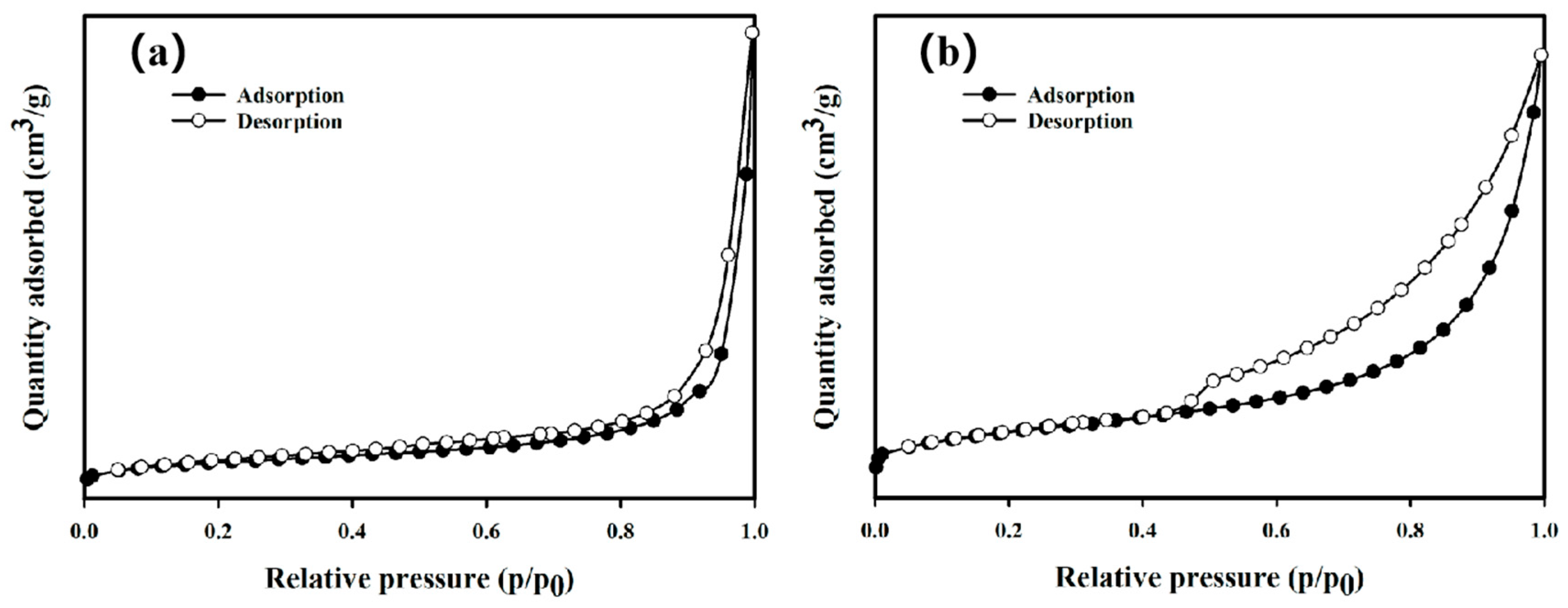 Nanomaterials 15 01460 g005