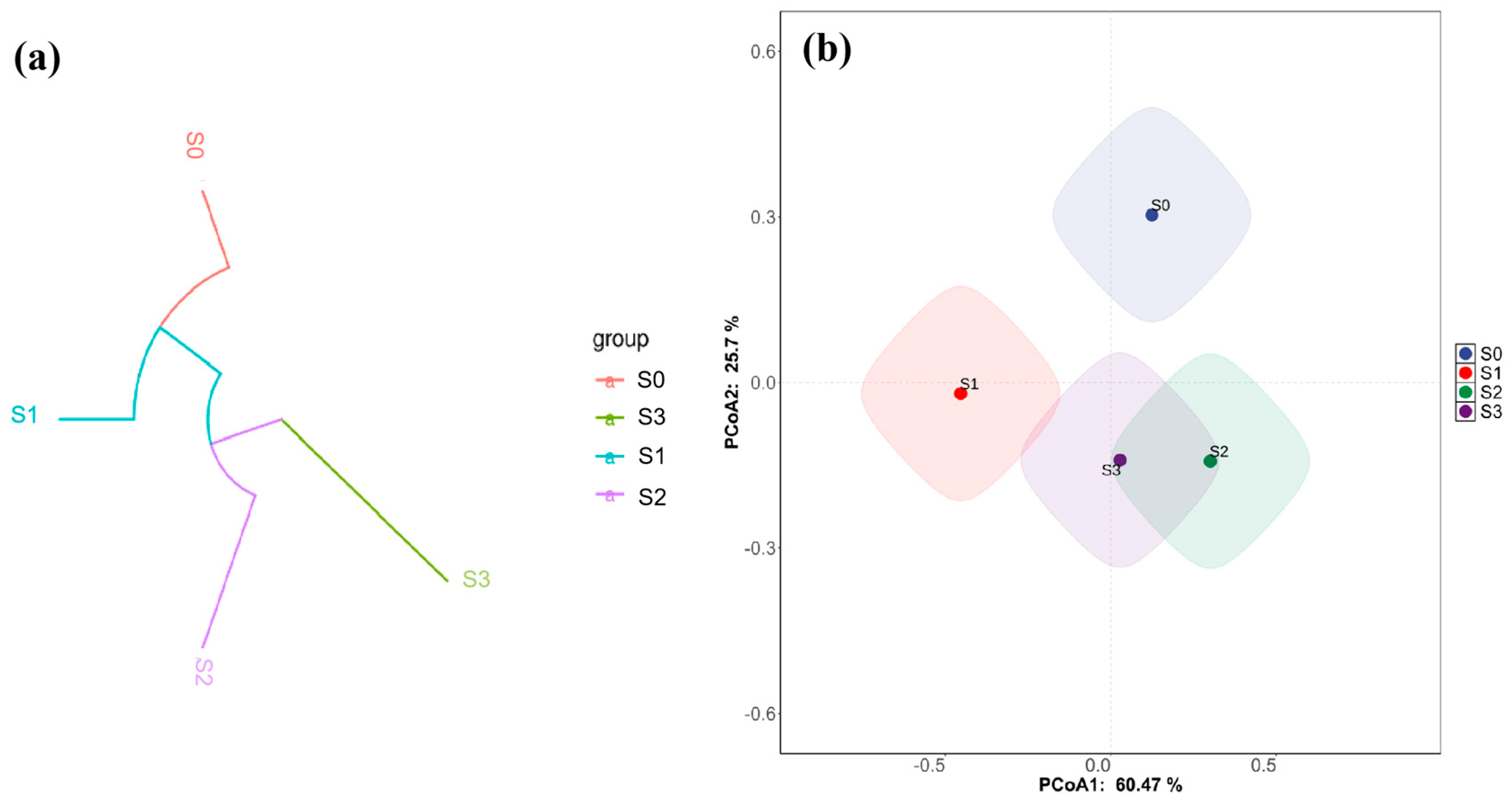 Nanomaterials 15 01460 g013