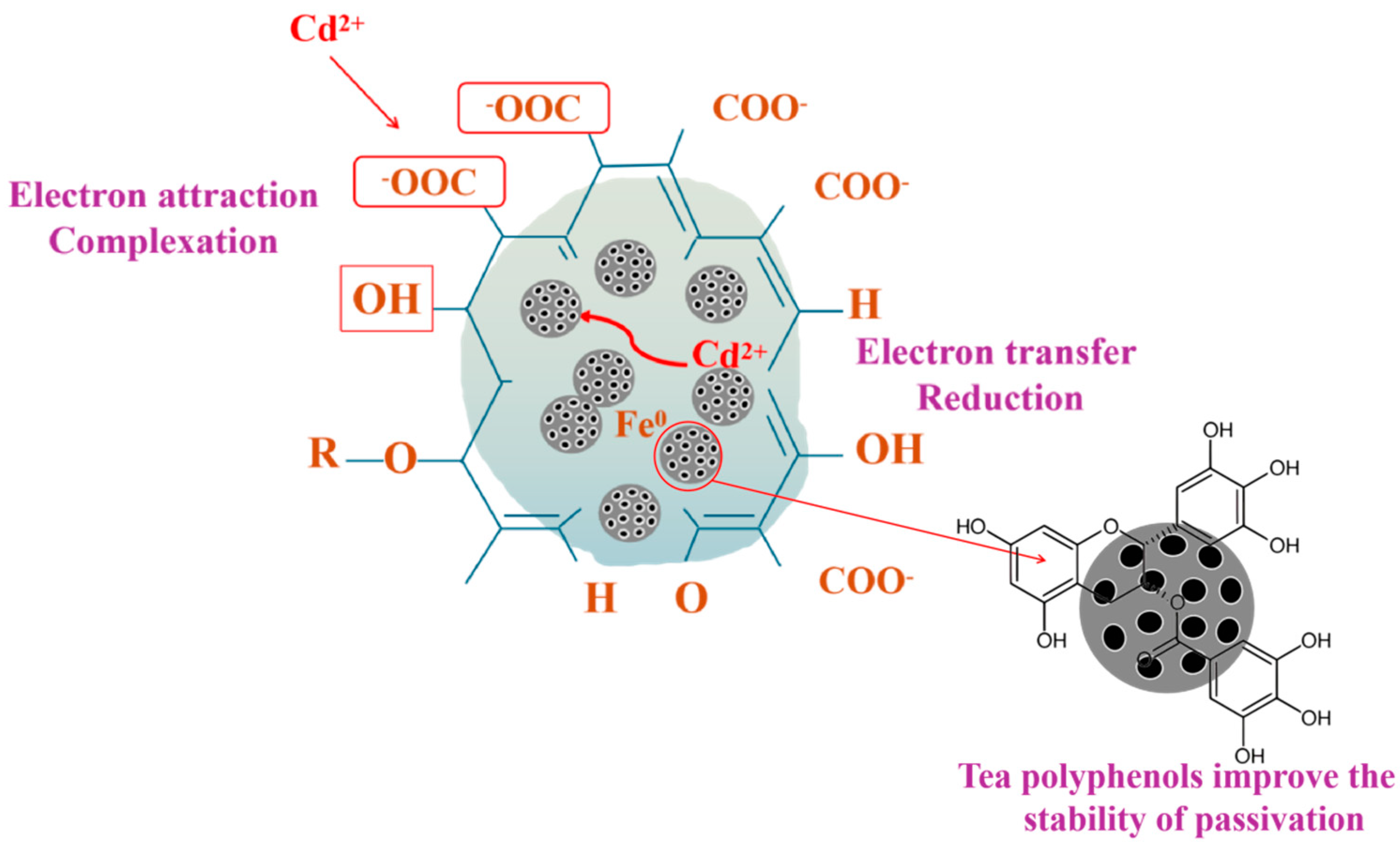 Nanomaterials 15 01460 g019