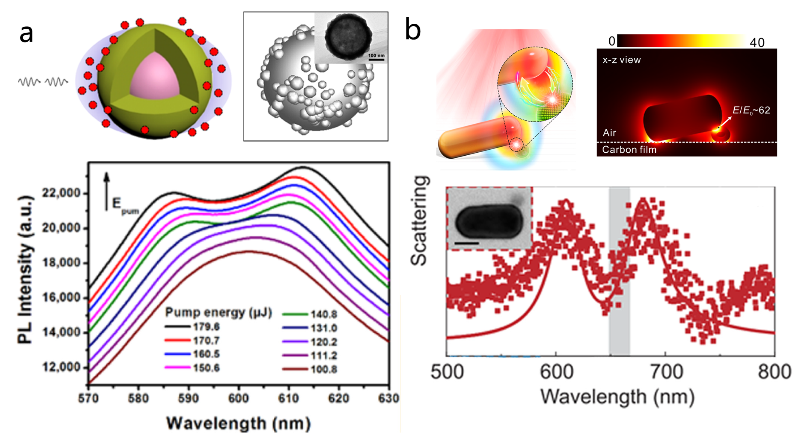 Nanomaterials 15 01463 g005