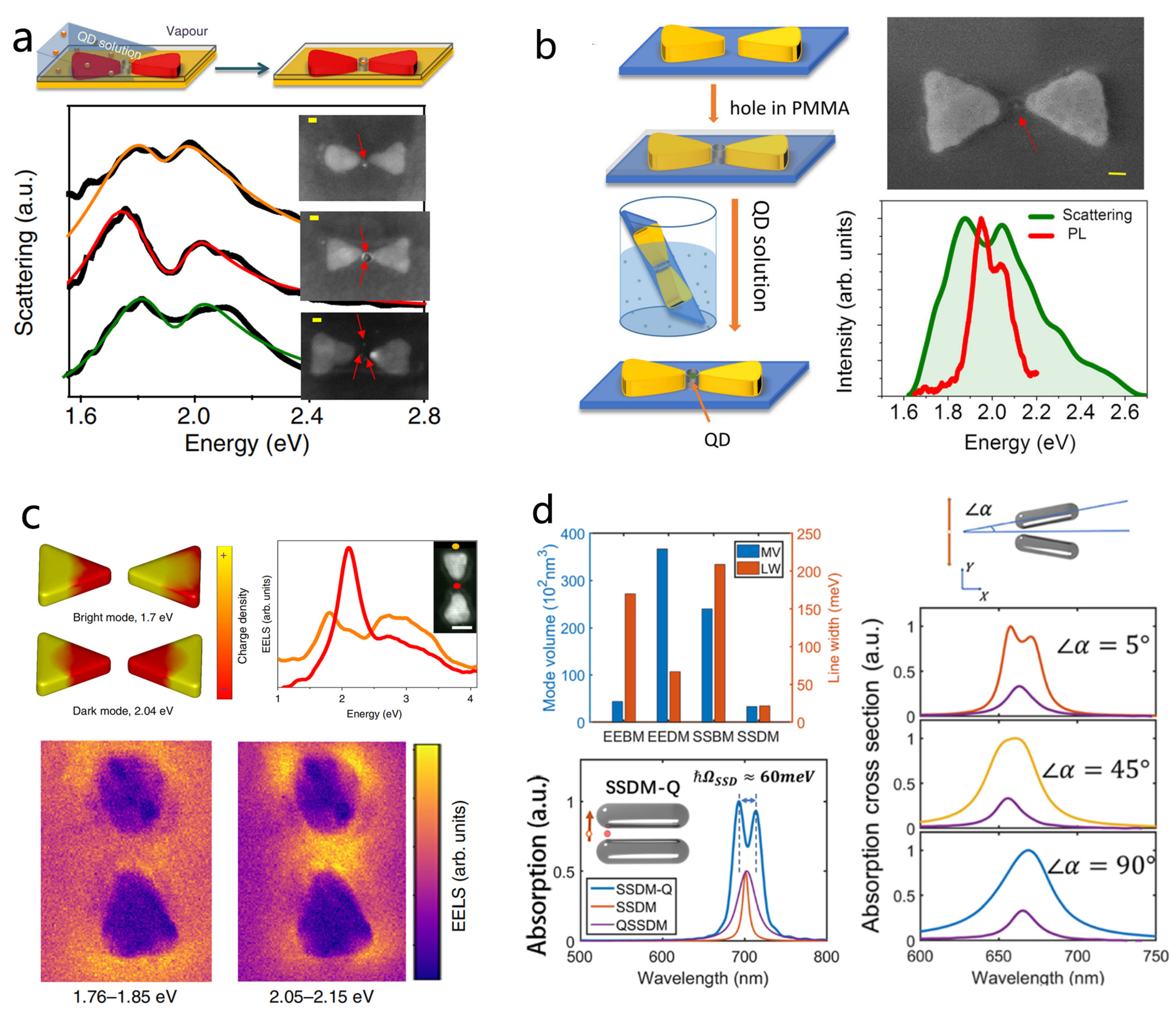 Nanomaterials 15 01463 g007