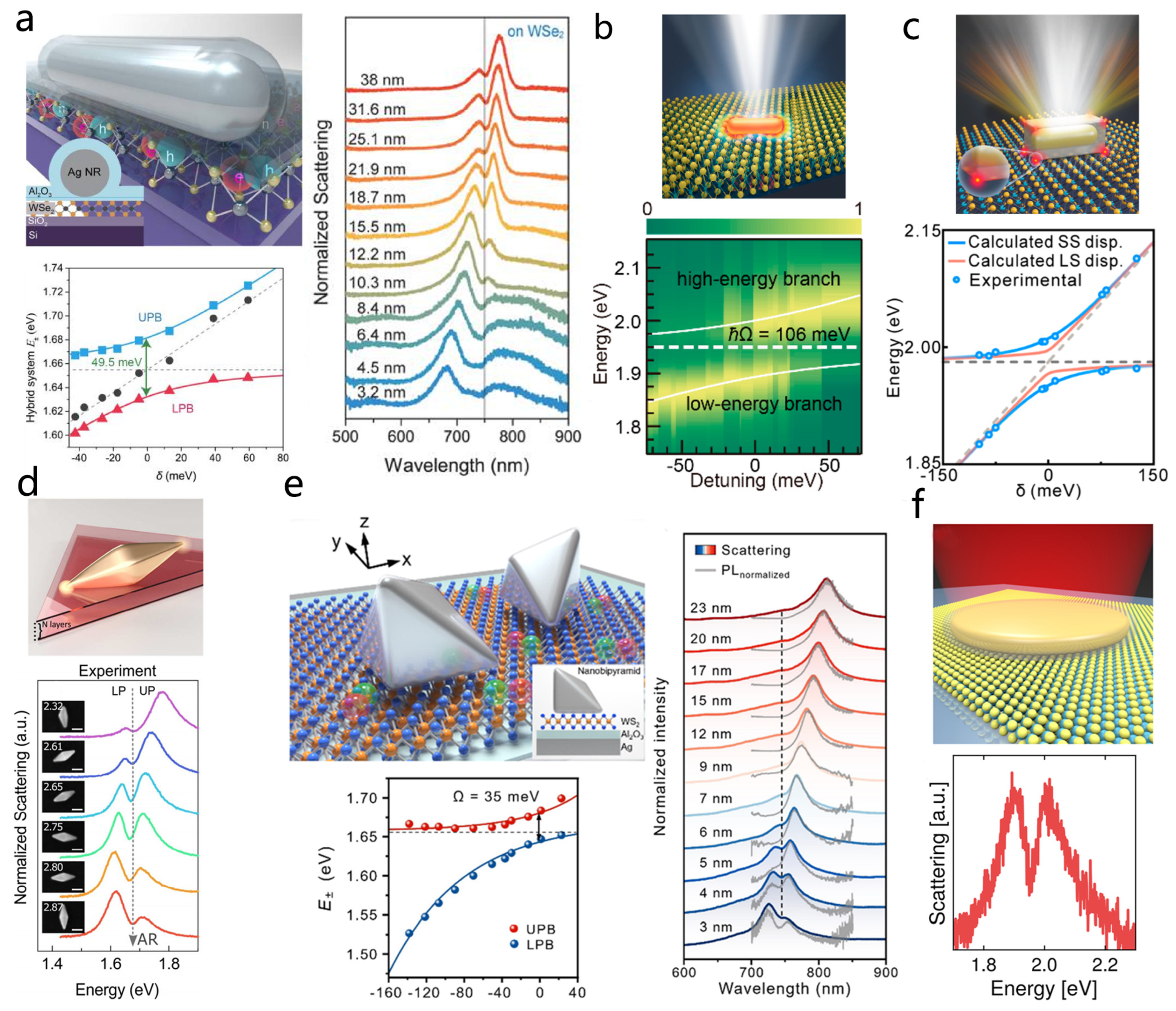 Nanomaterials 15 01463 g010