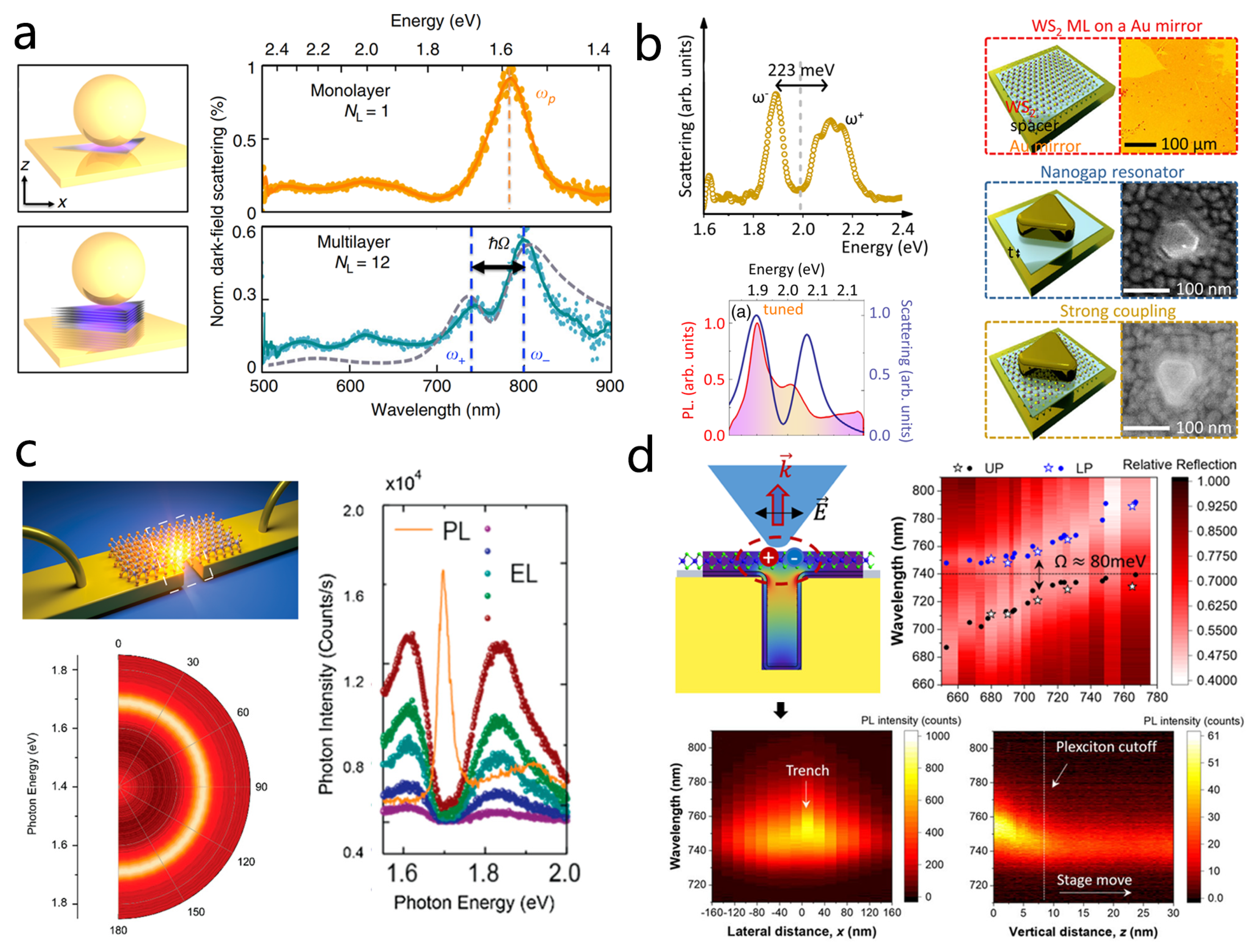 Nanomaterials 15 01463 g012
