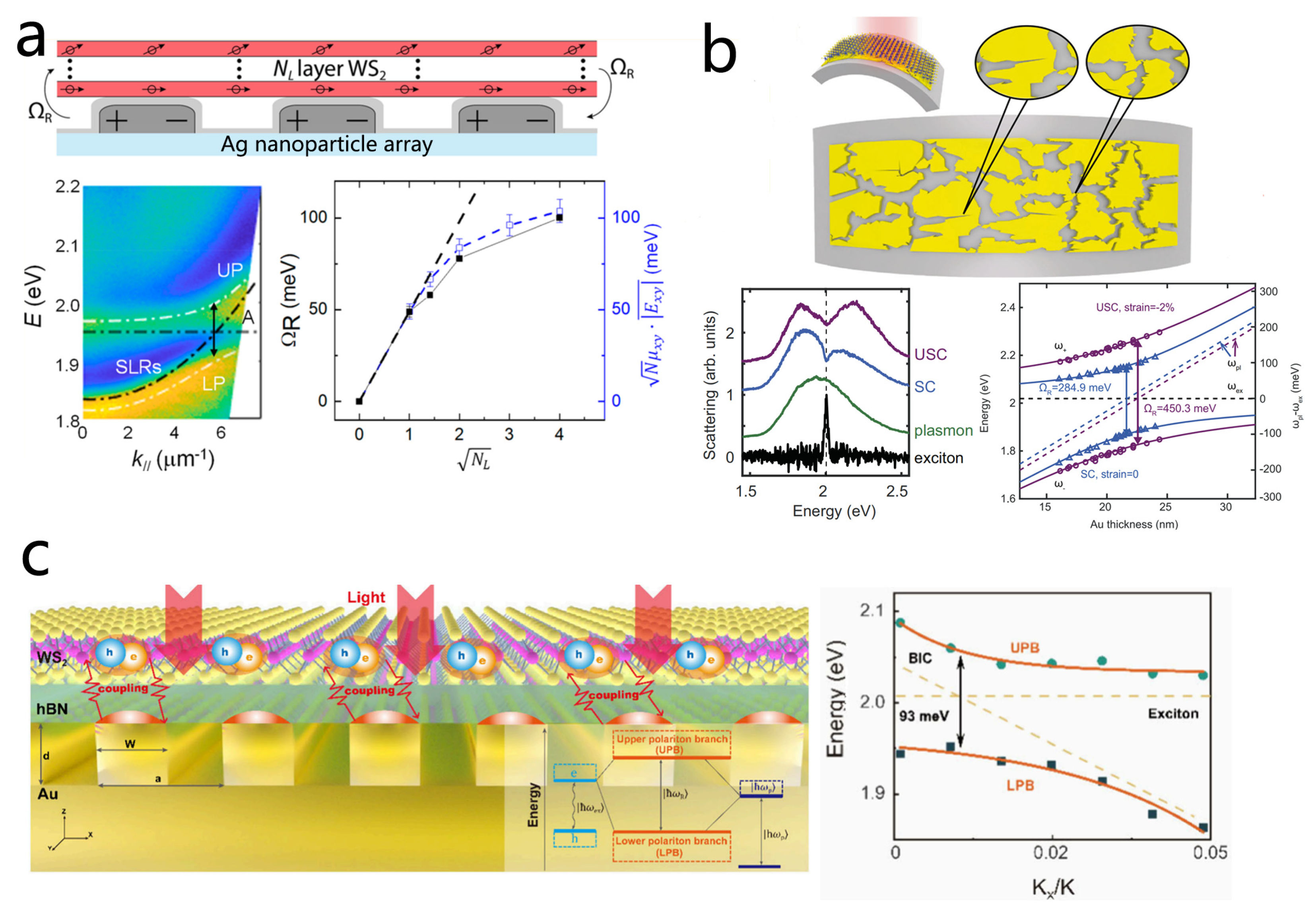 Nanomaterials 15 01463 g013