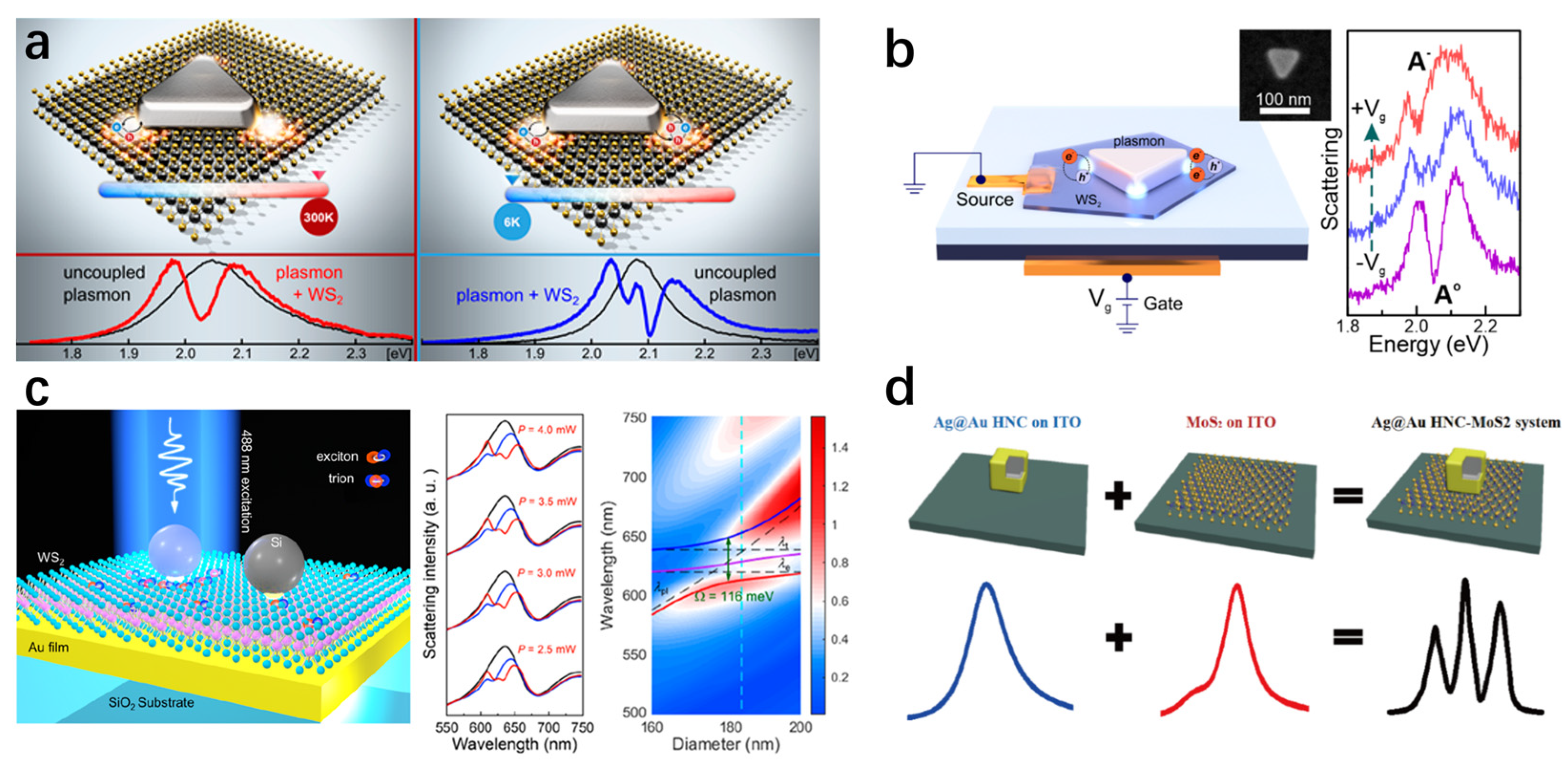 Nanomaterials 15 01463 g015