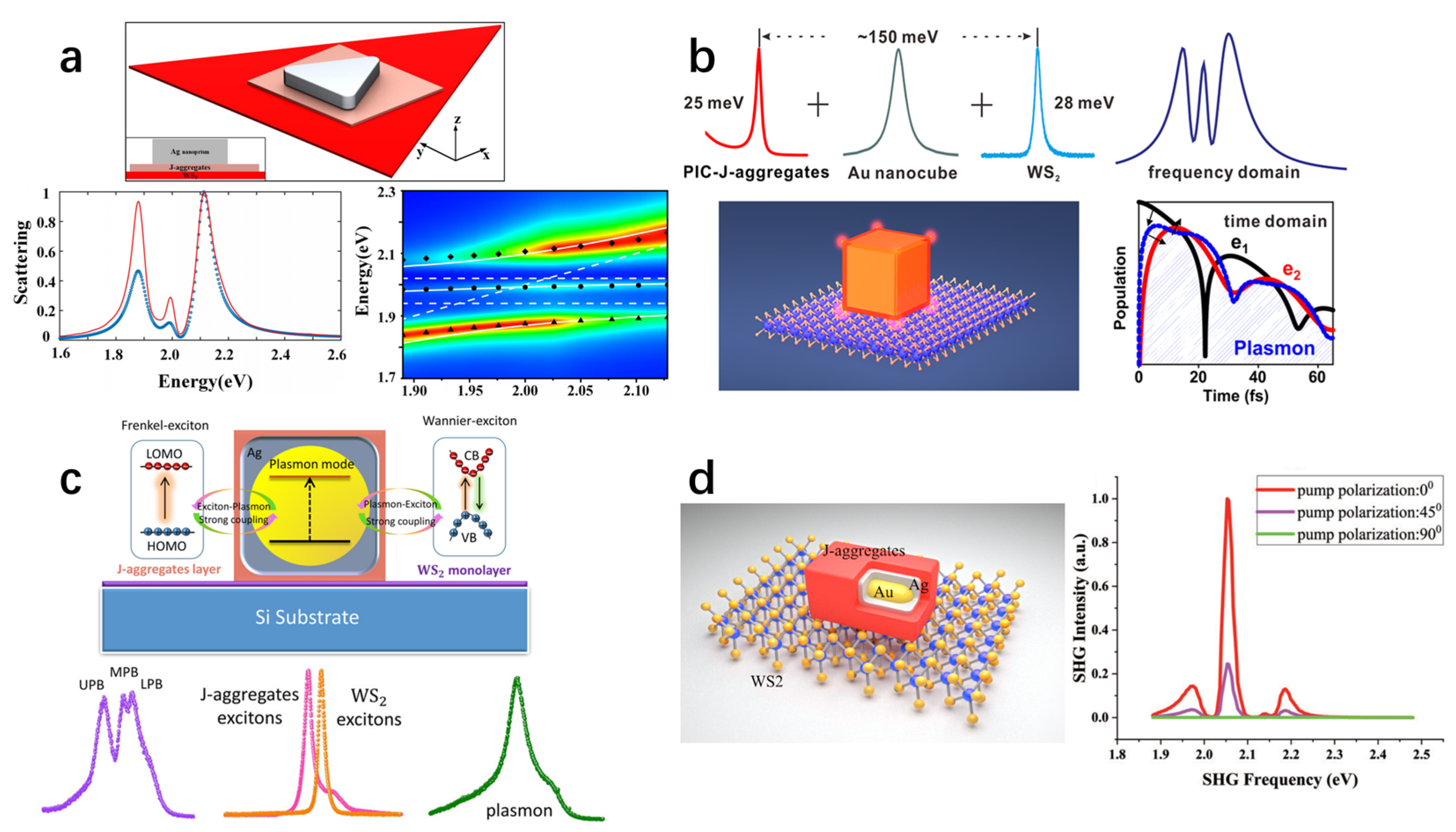Nanomaterials 15 01463 g016