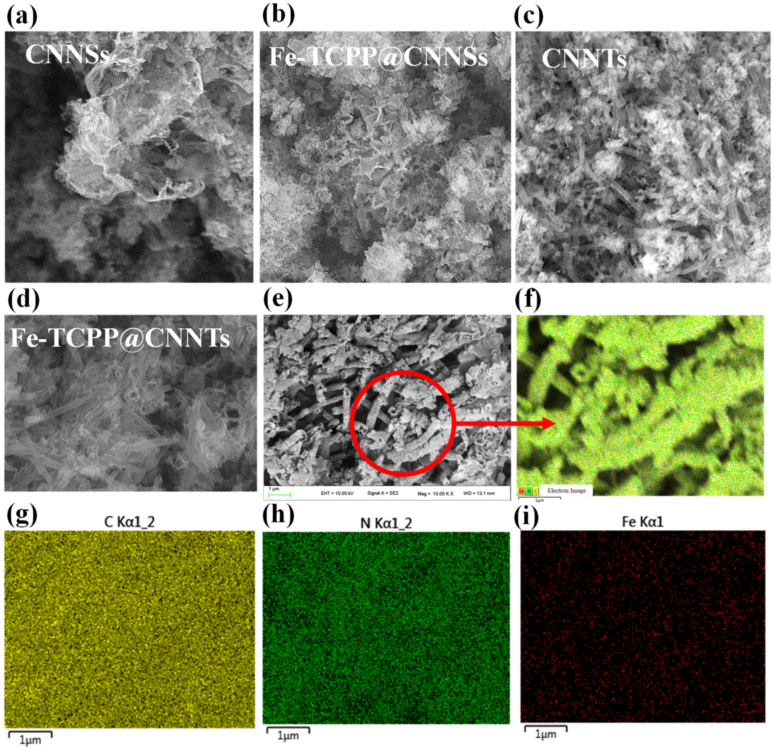 Nanomaterials 15 01465 g003