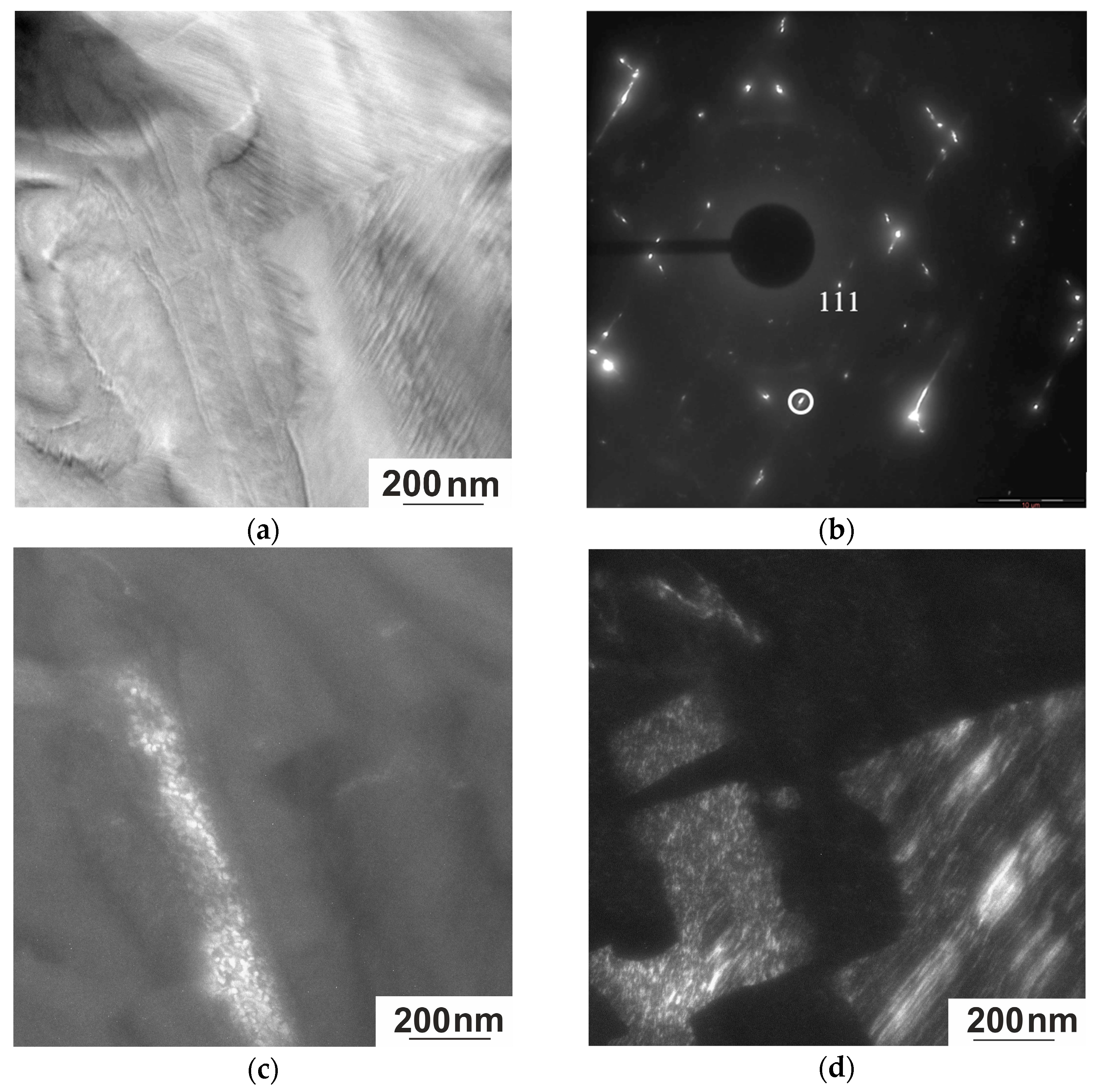 Nanomaterials 15 01466 g011
