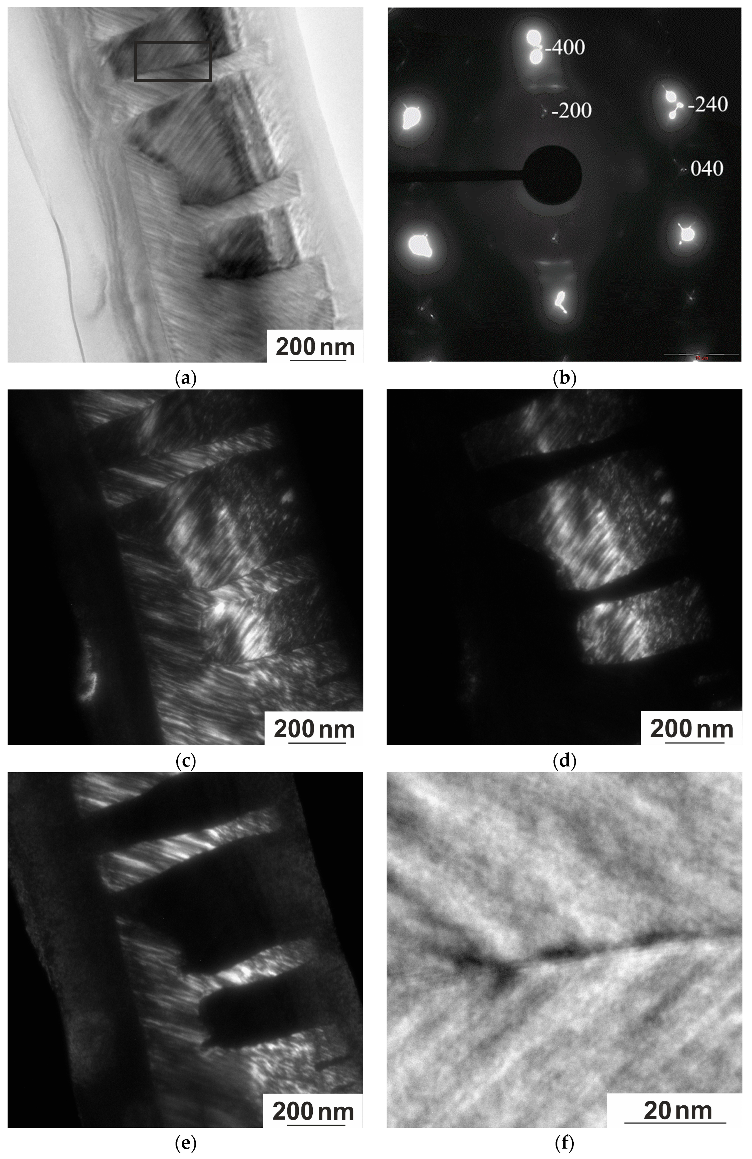 Nanomaterials 15 01466 g012