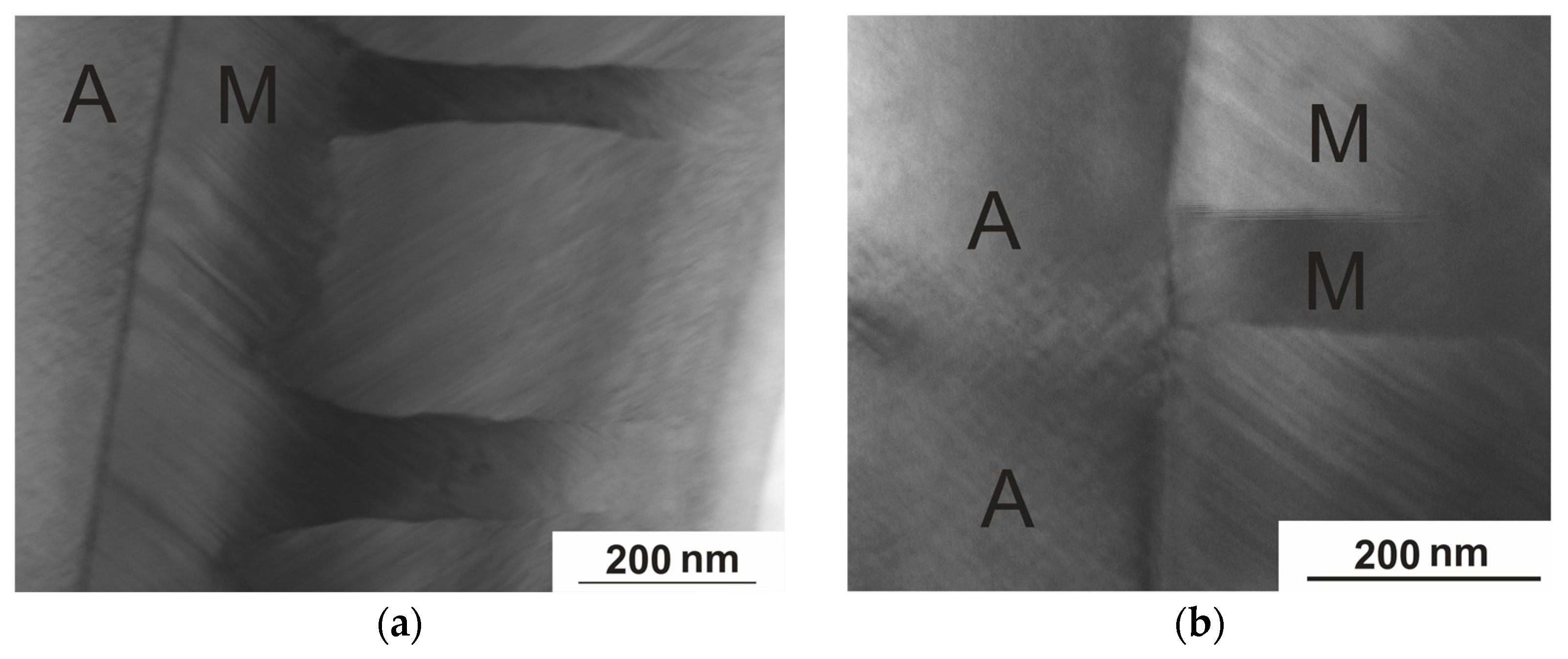Nanomaterials 15 01466 g013