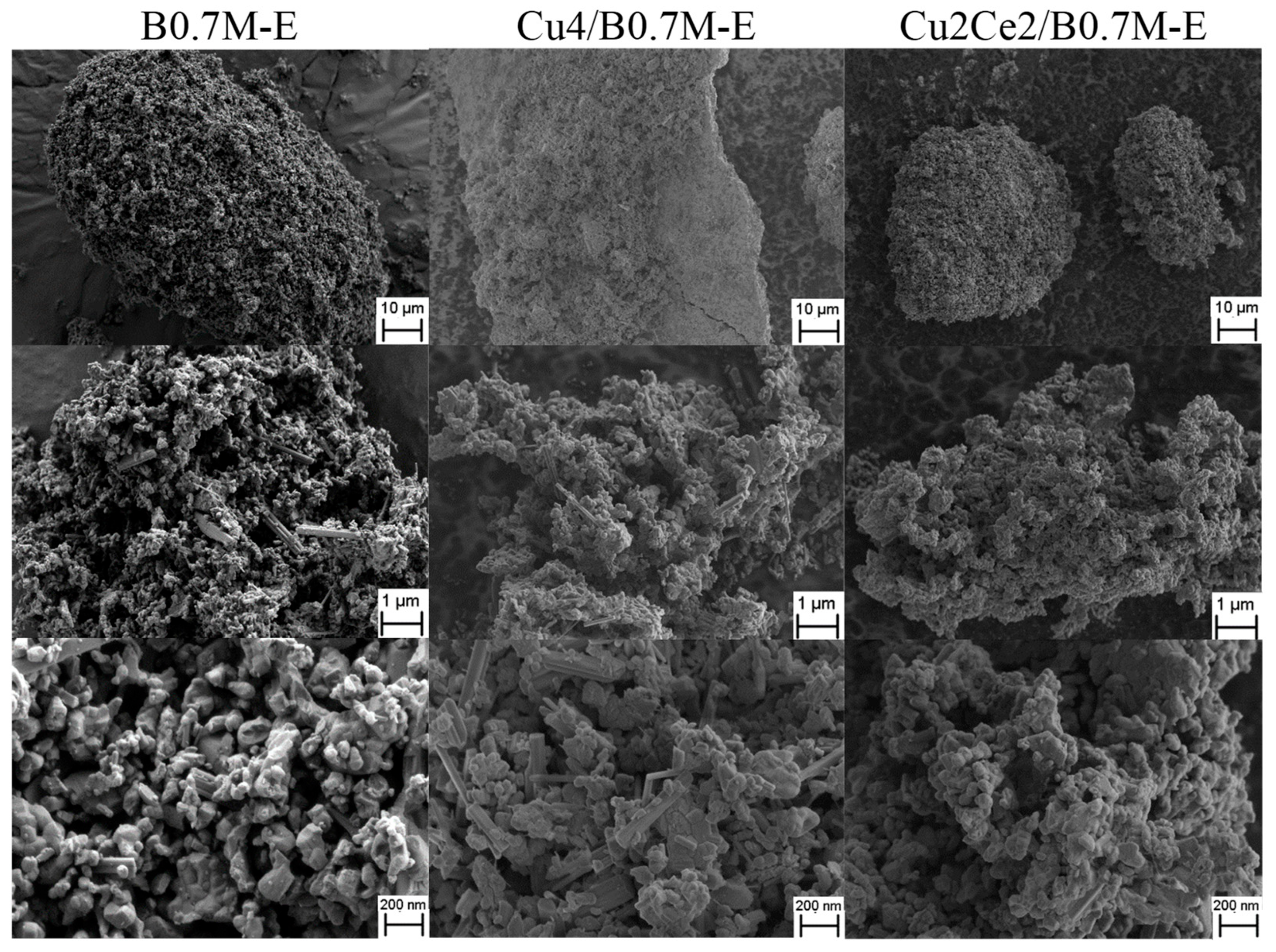 Nanomaterials 15 01467 g007