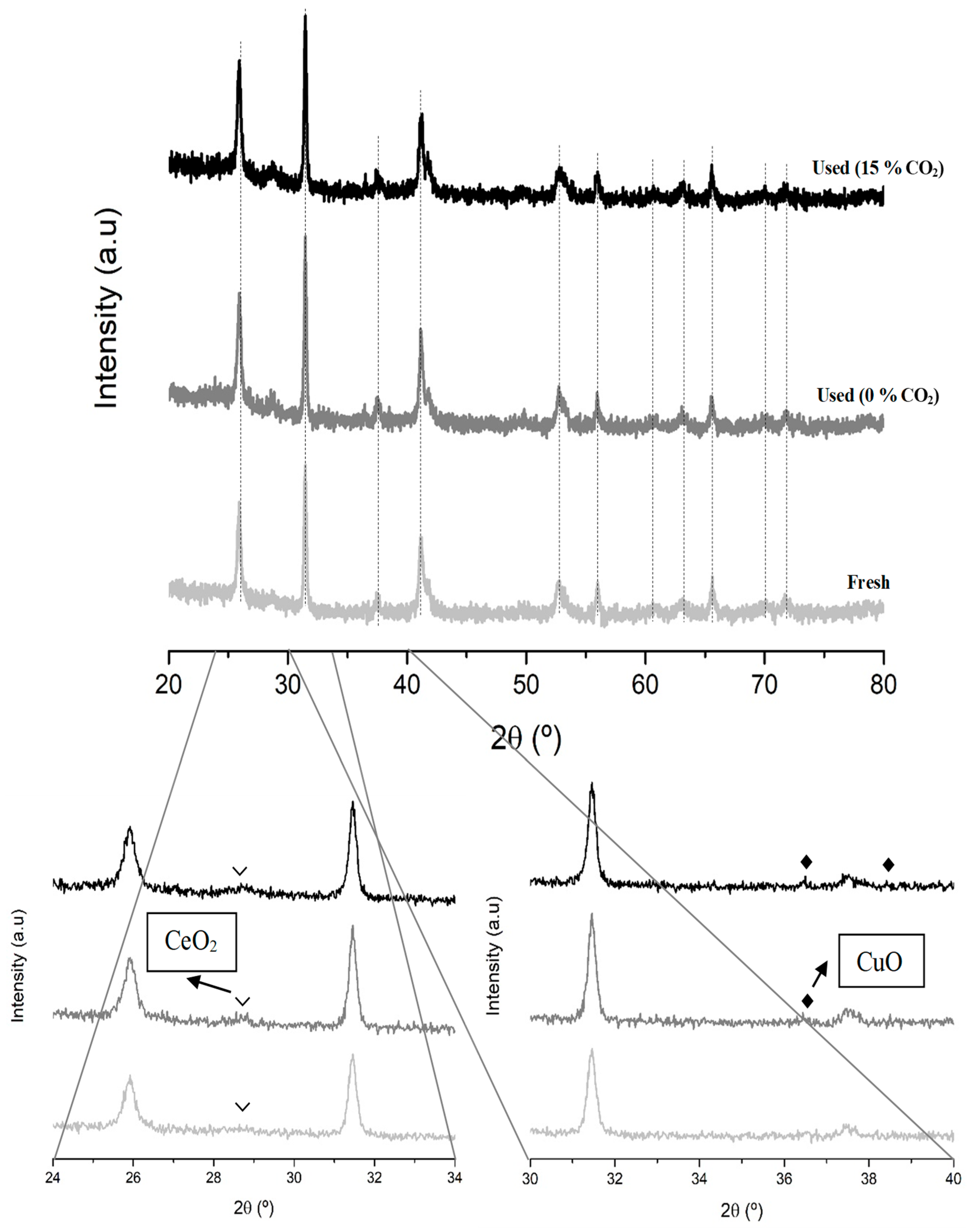 Nanomaterials 15 01467 g013
