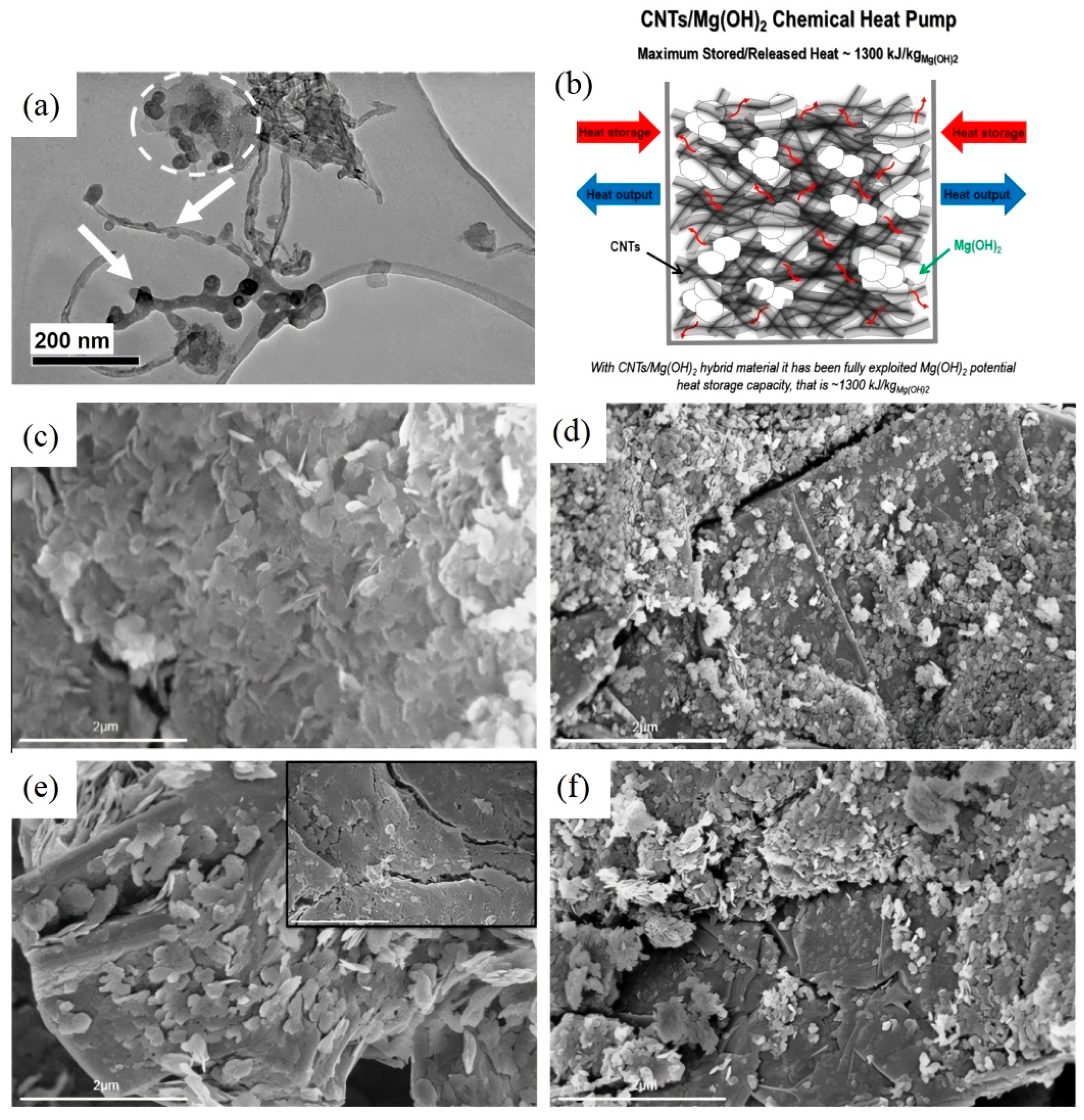 Nanomaterials 15 01476 g006 Nanomaterials 15 01476 g006