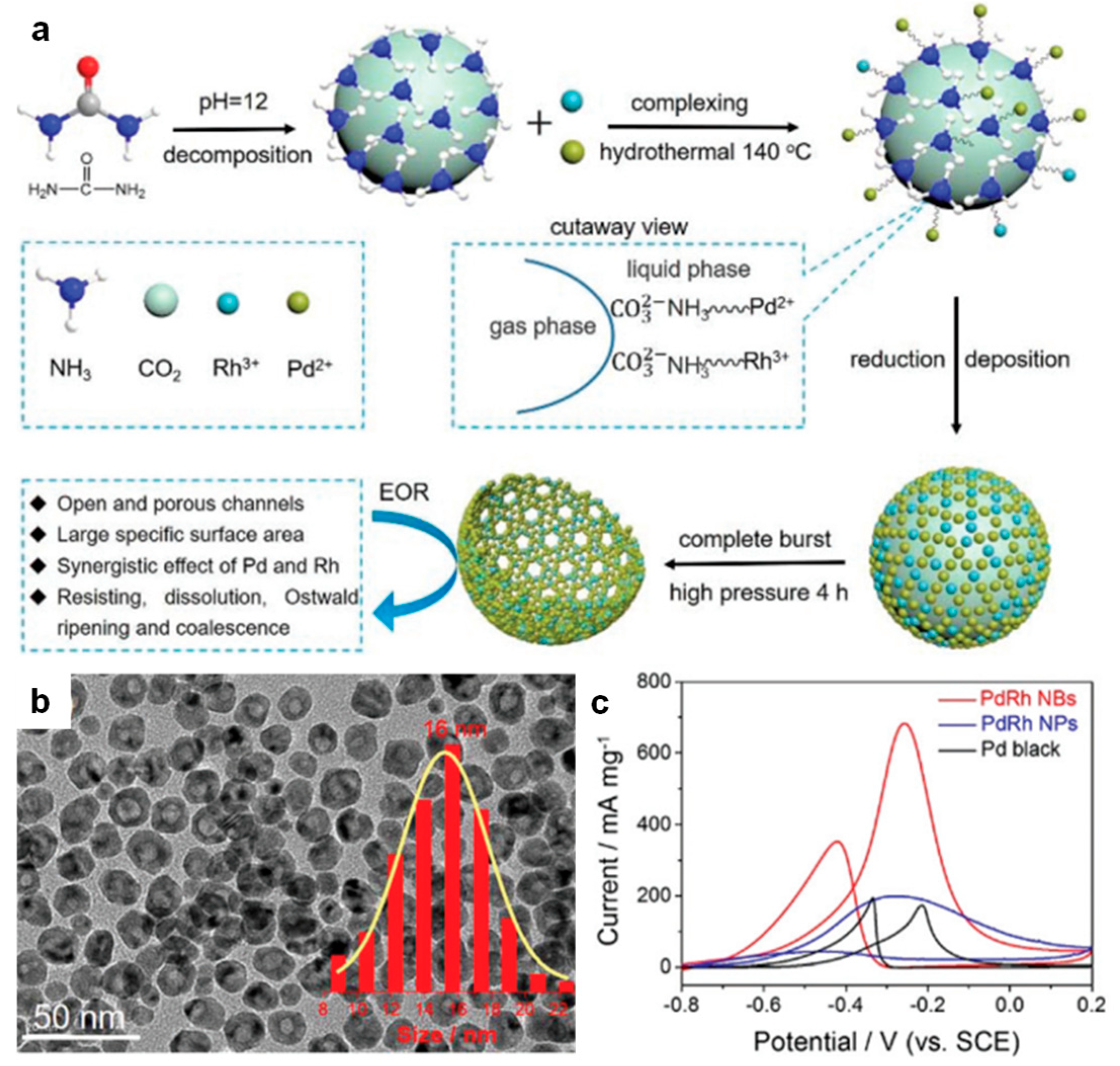 Nanomaterials 15 01477 g012 Nanomaterials 15 01477 g012