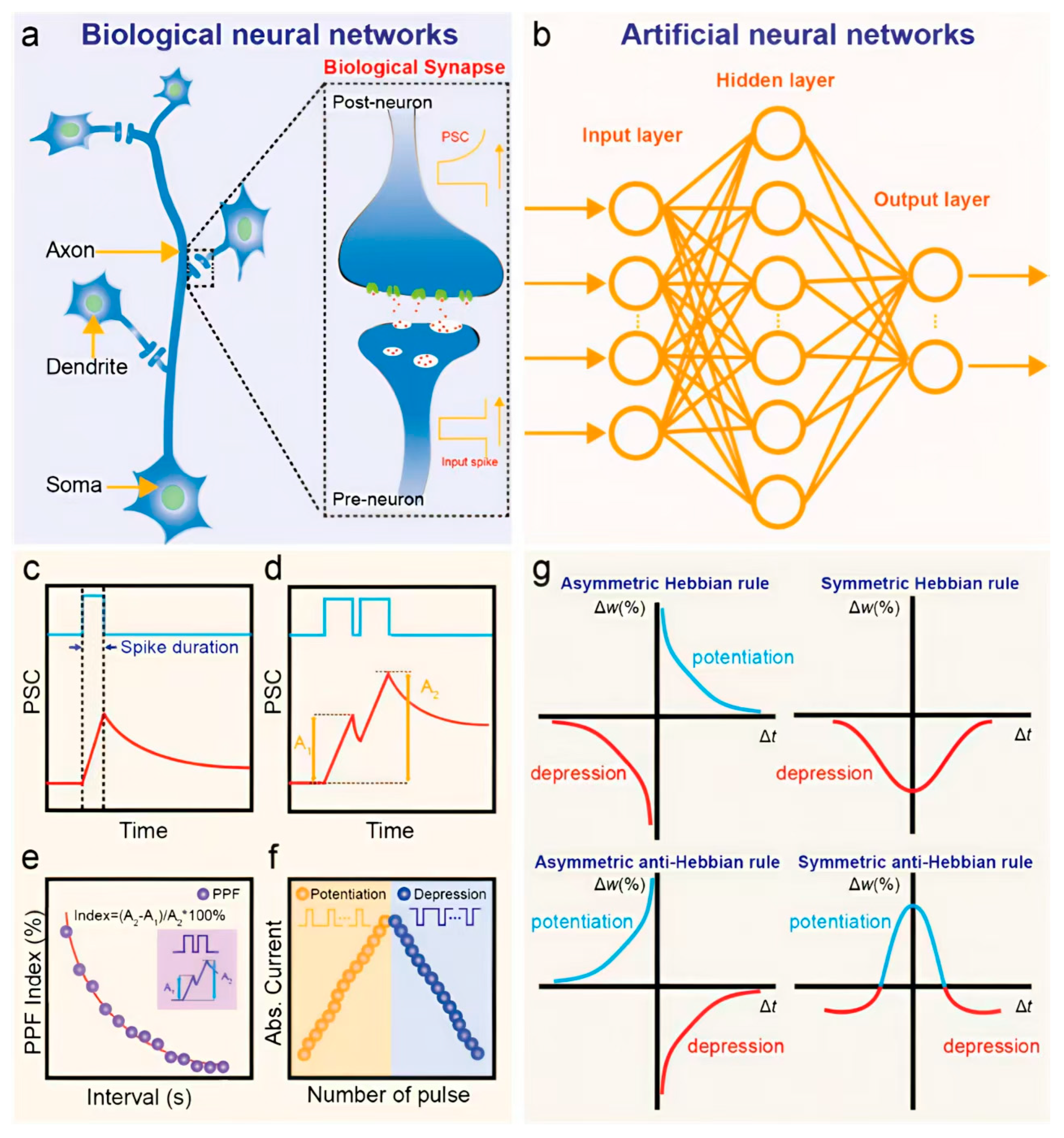 Nanomaterials 15 01481 g001