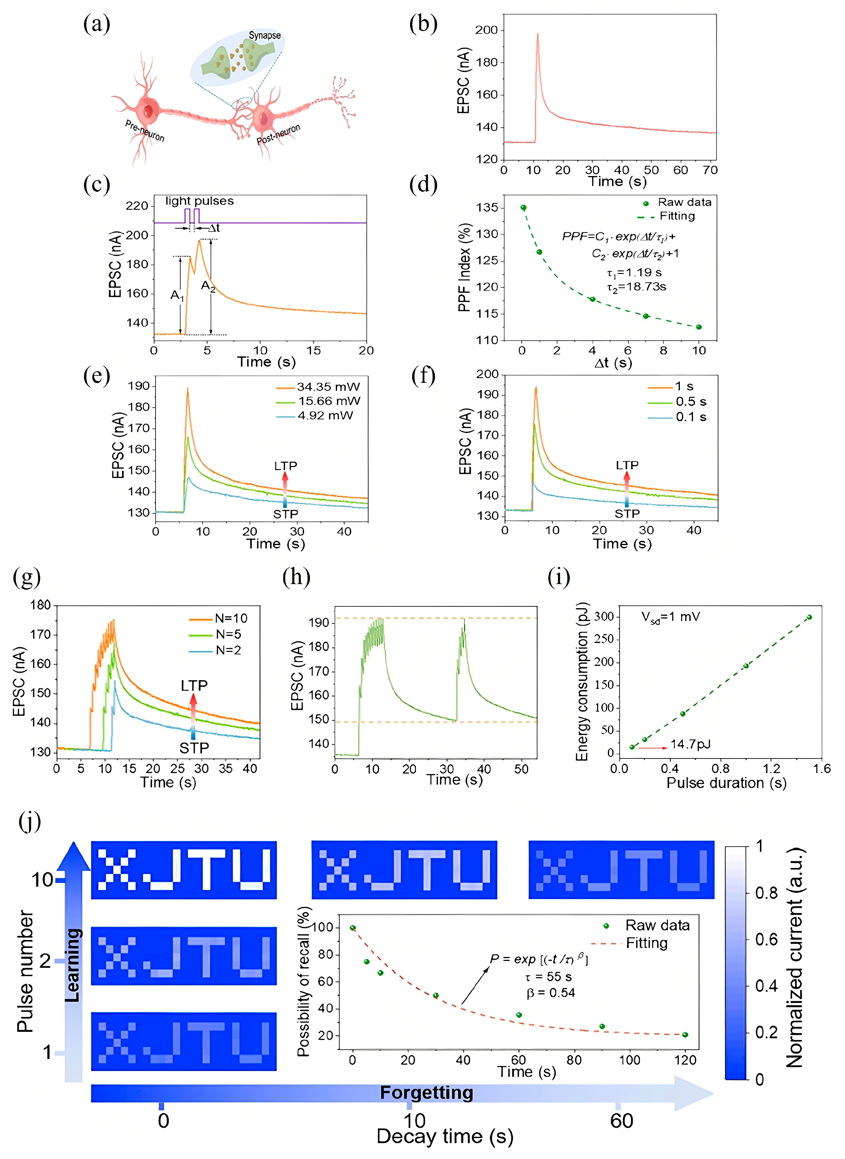 Nanomaterials 15 01481 g003