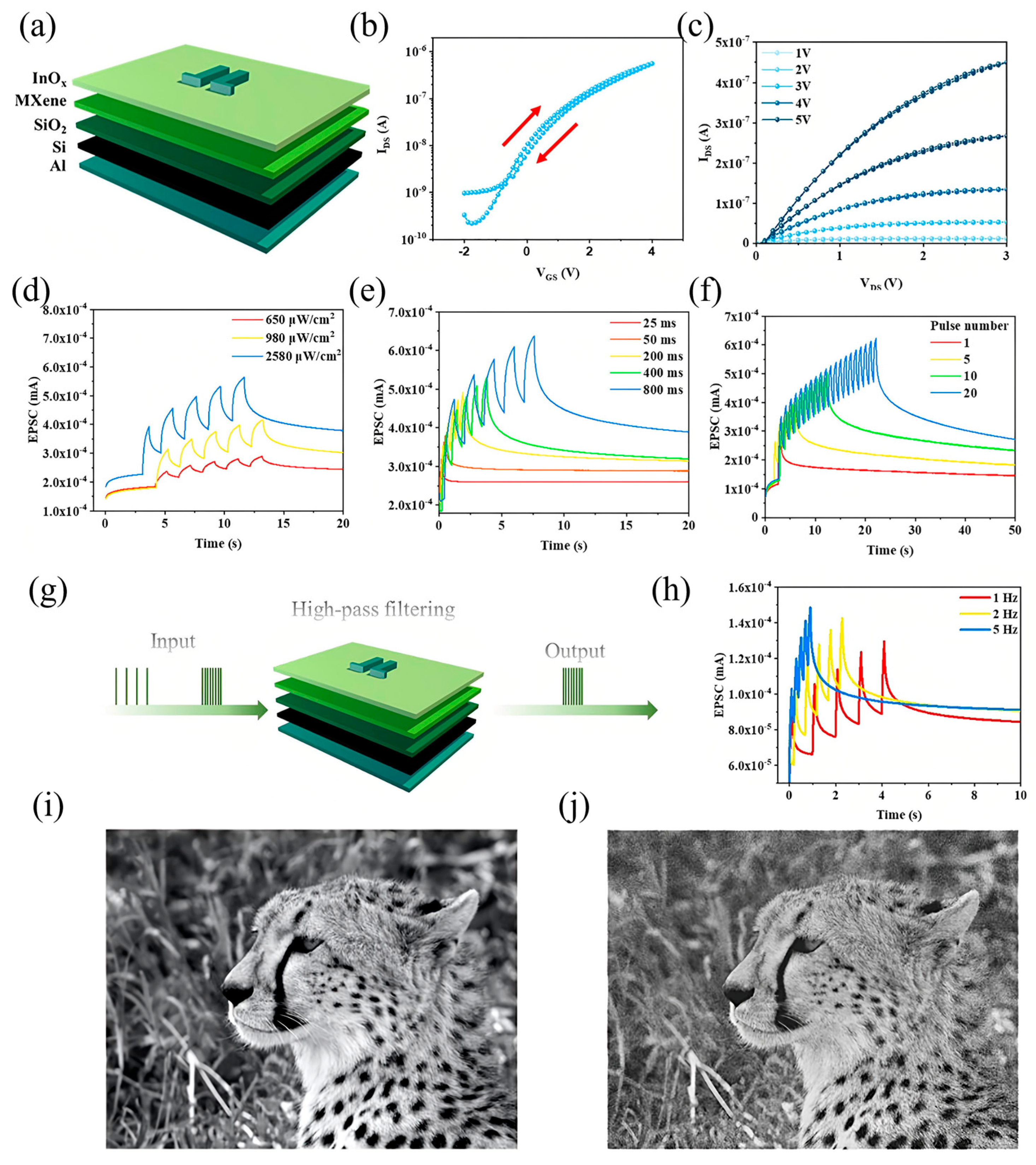 Nanomaterials 15 01481 g007