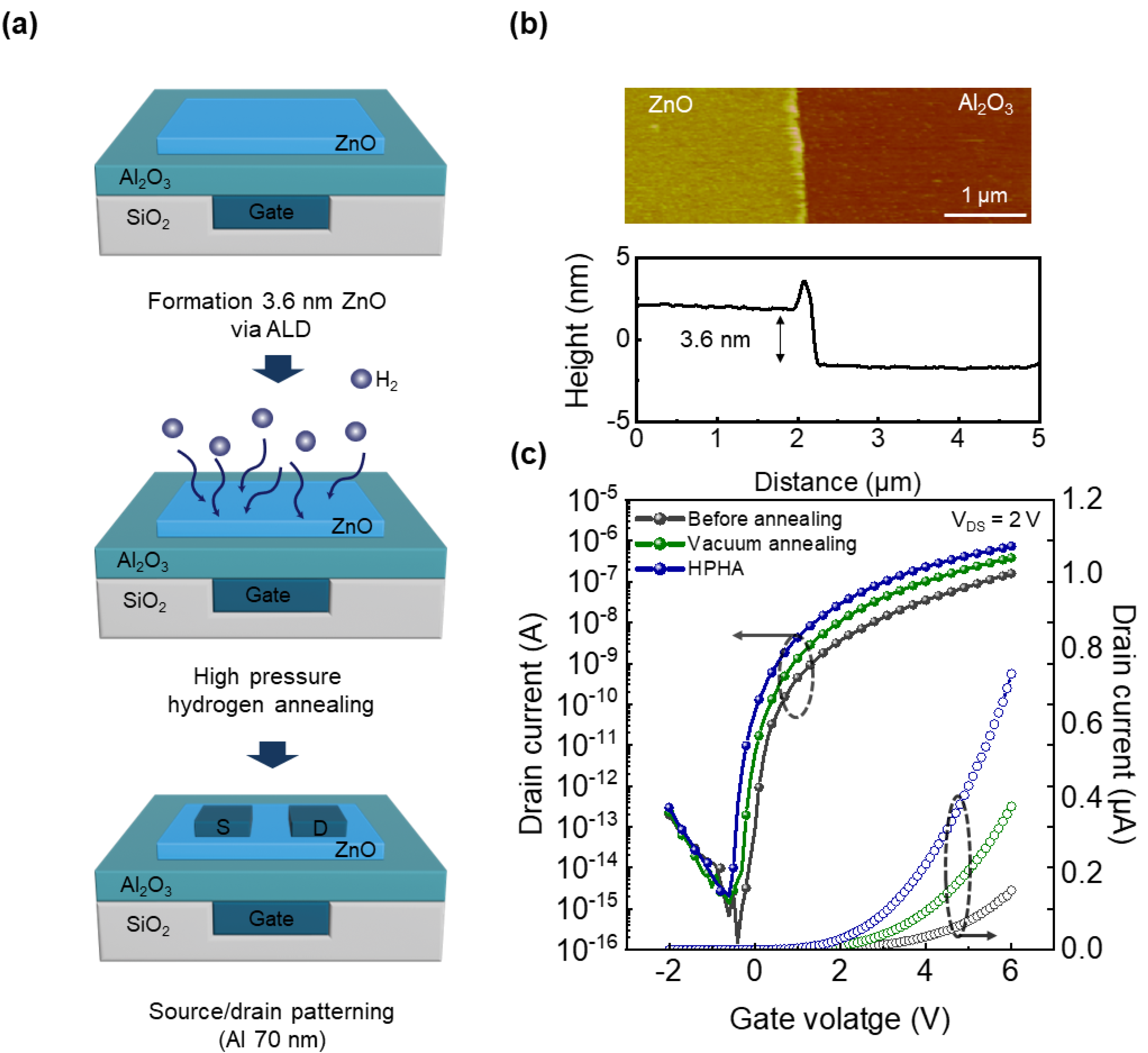 Nanomaterials 15 01484 g001 Nanomaterials 15 01484 g001