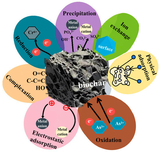 ああ Amazon.com: FACET ENGINE CRANKSHAFT POSITION SENSOR 9.0297