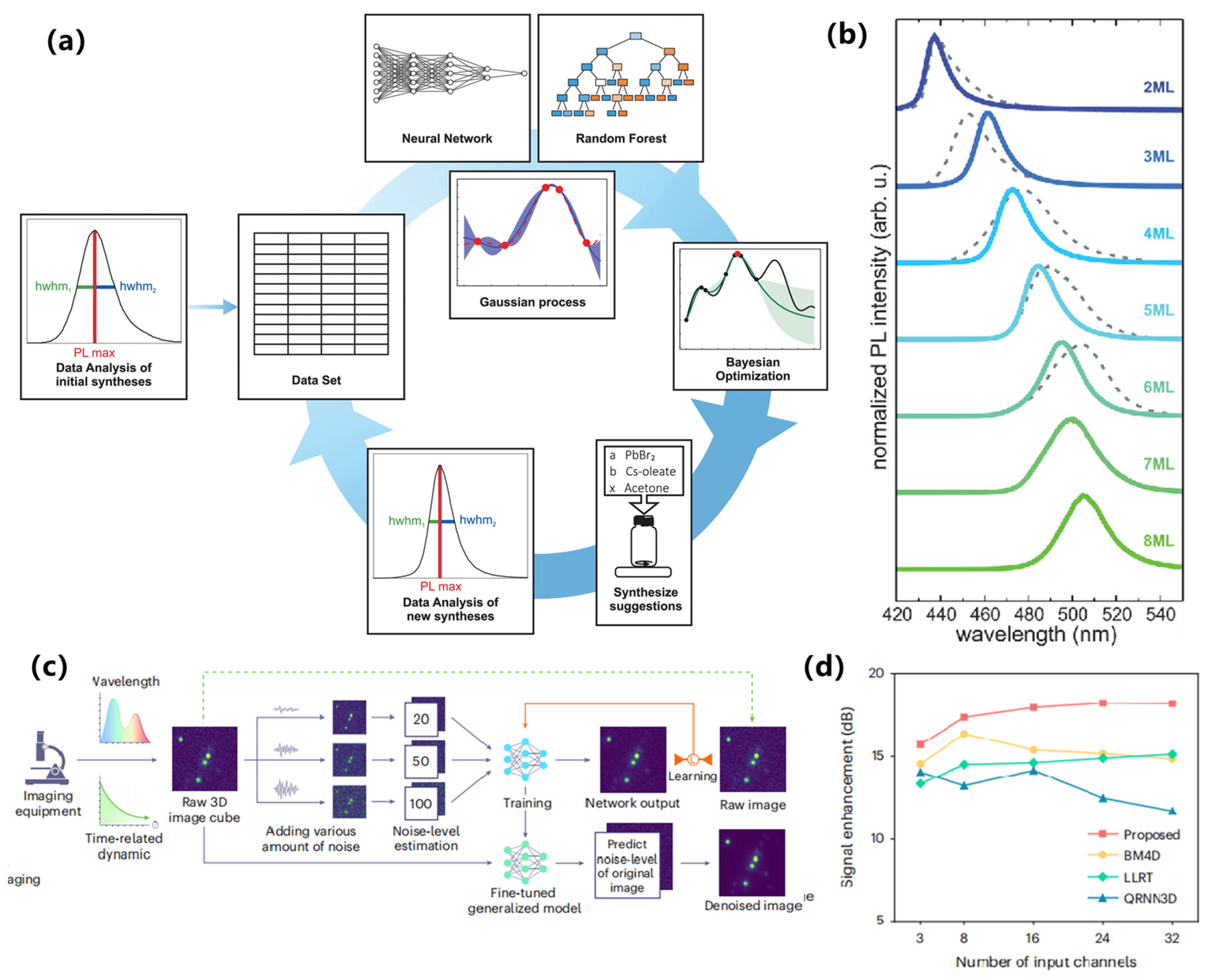 Nanomaterials 15 01495 g011