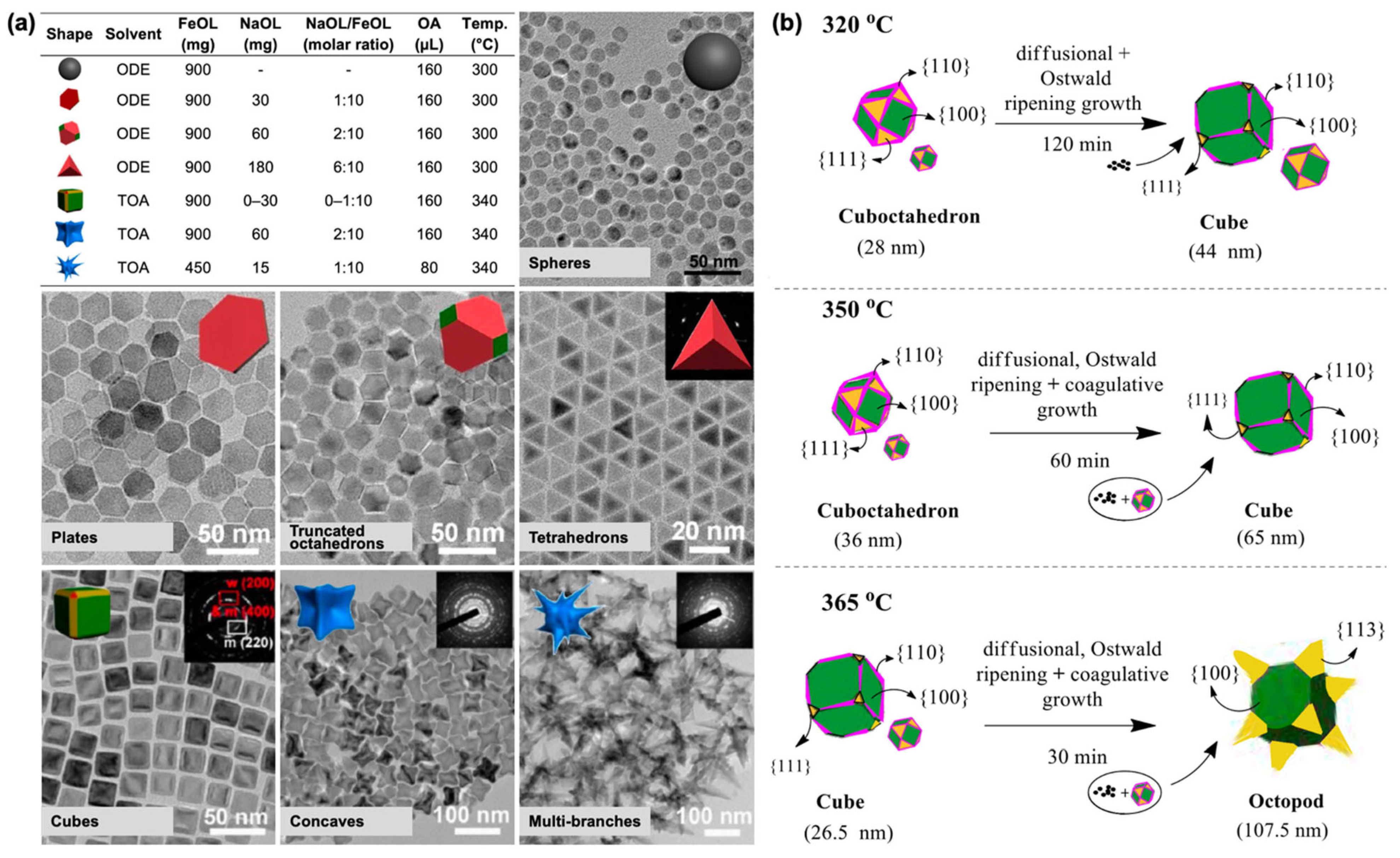 Nanomaterials 15 01500 g001
