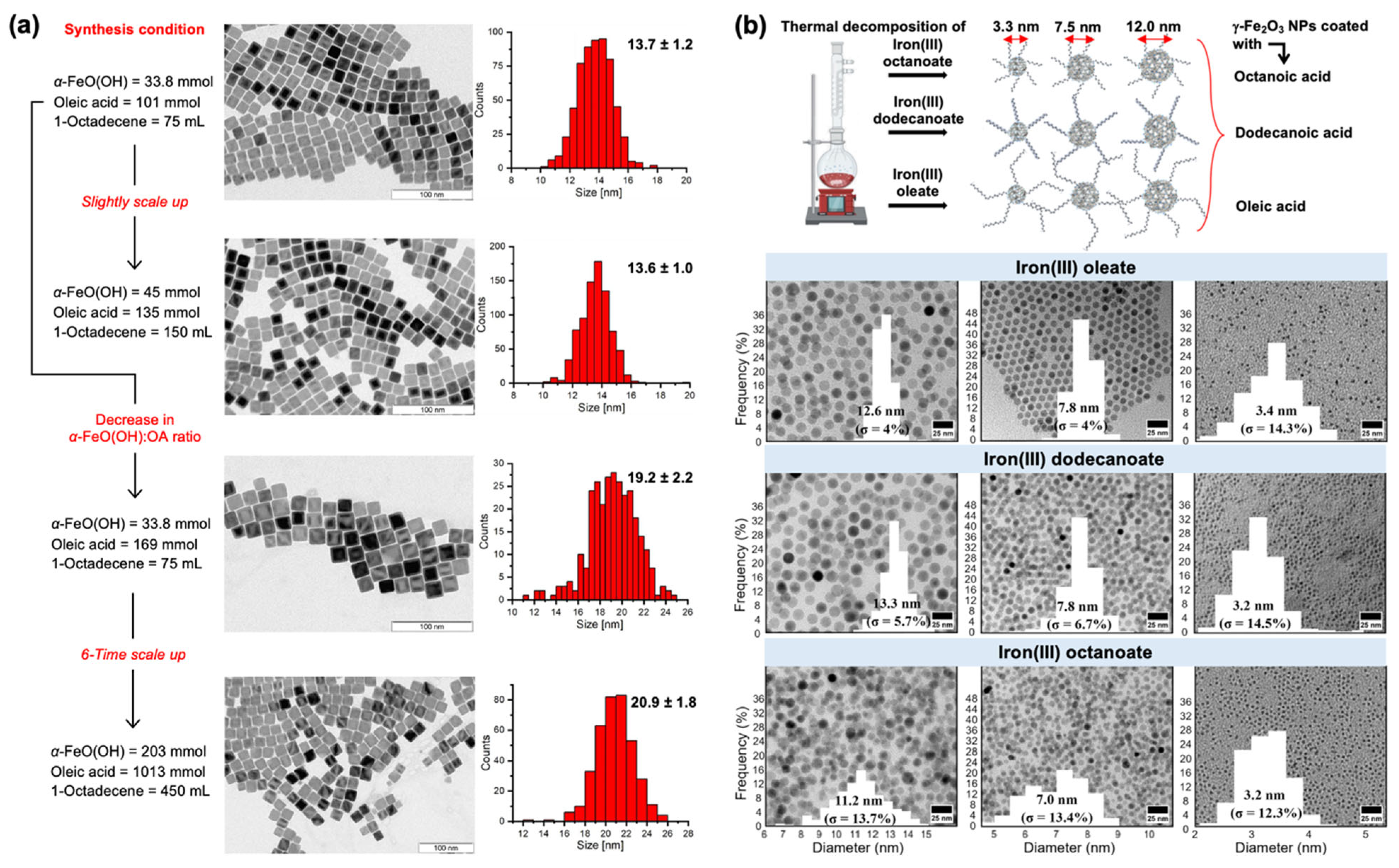 Nanomaterials 15 01500 g006
