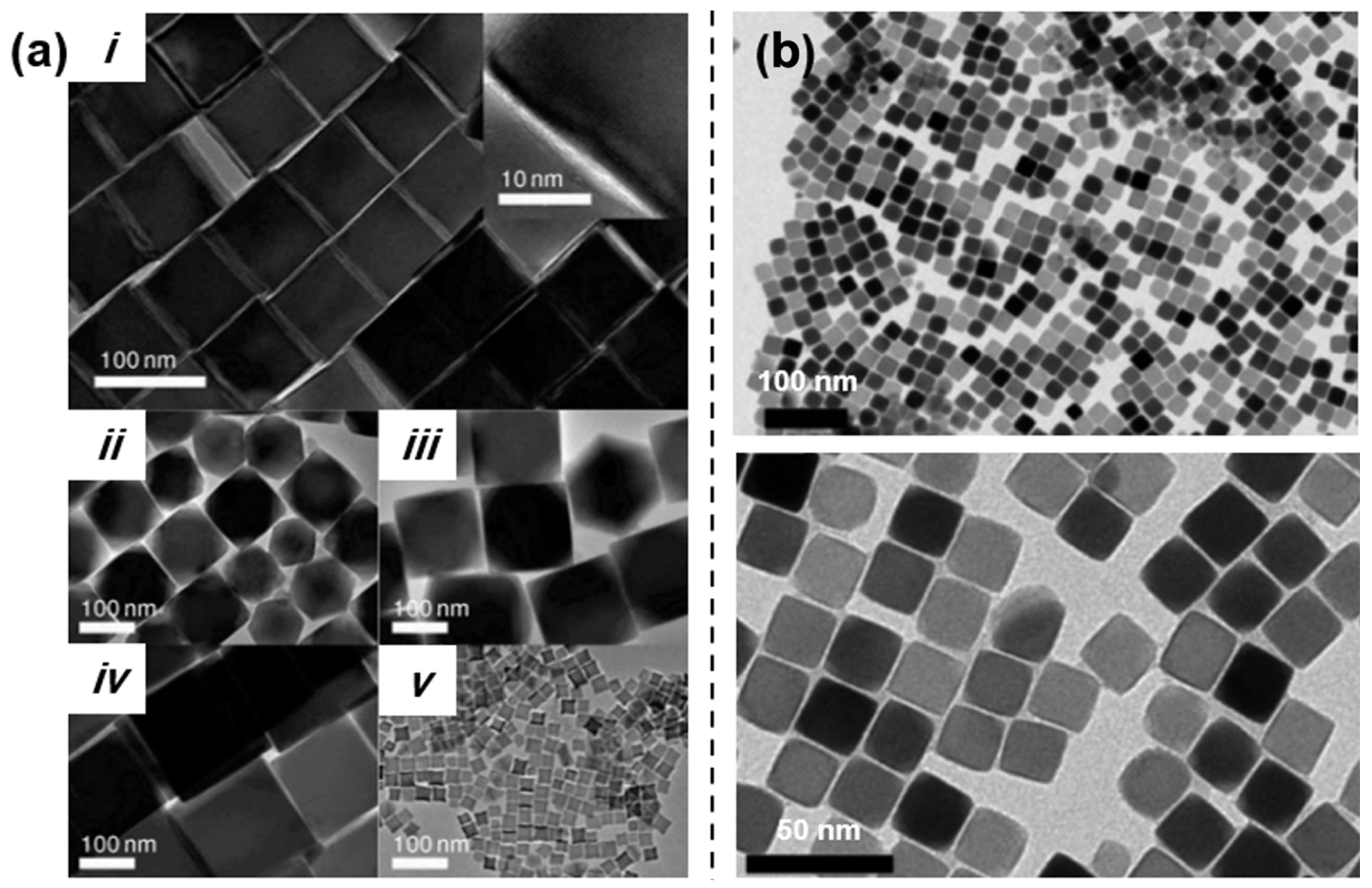 Nanomaterials 15 01500 g008