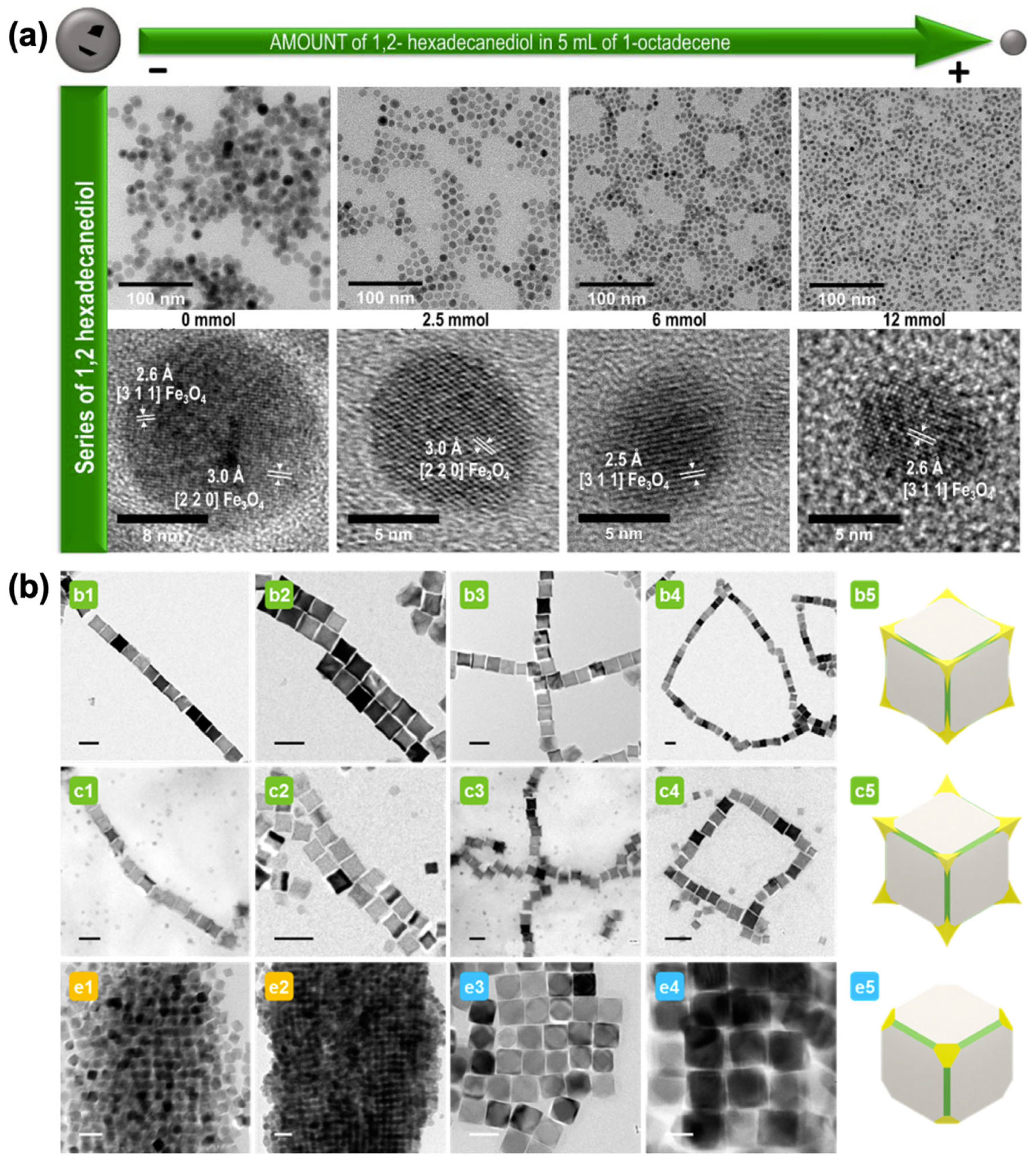 Nanomaterials 15 01500 g009