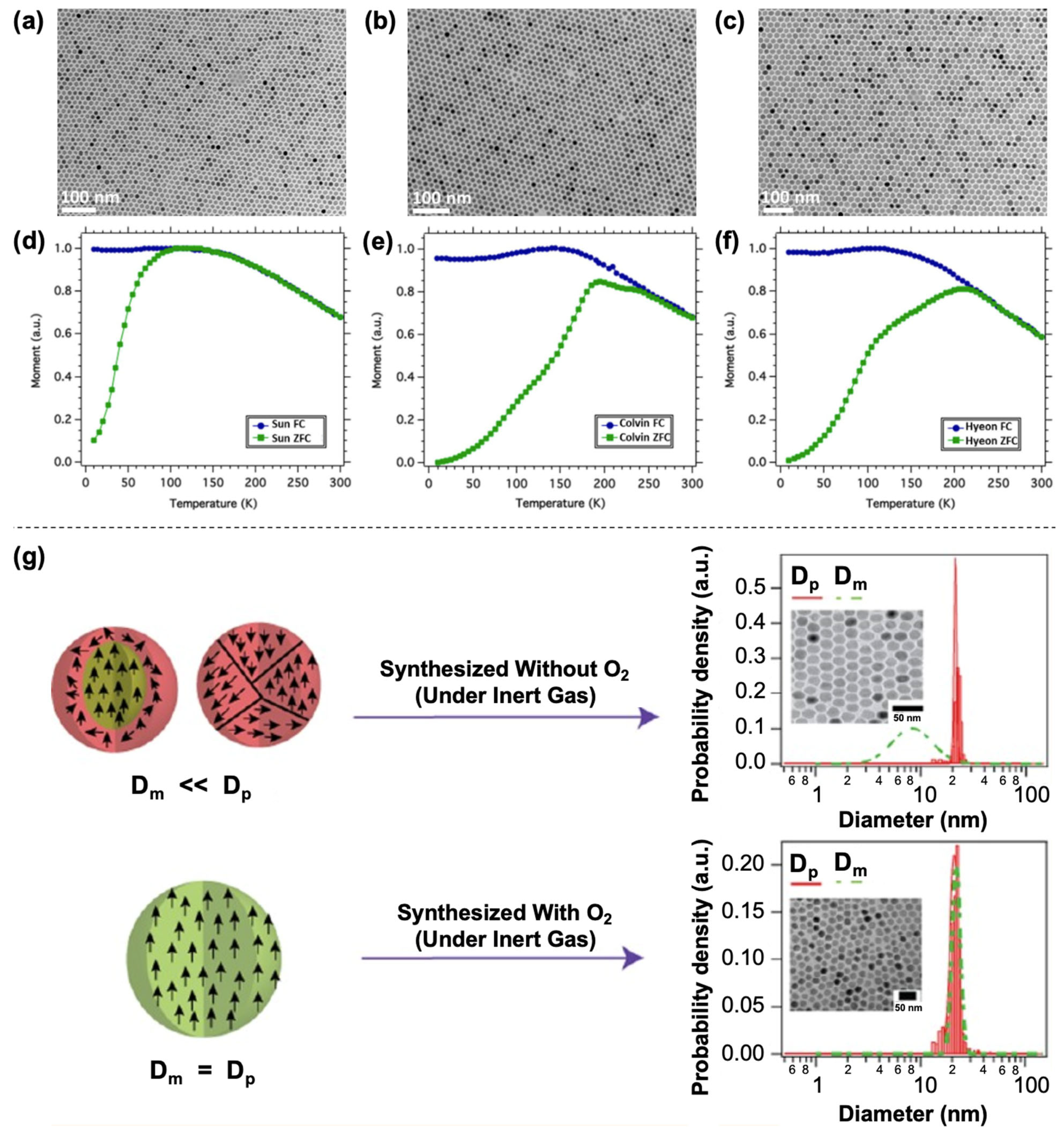 Nanomaterials 15 01500 g016