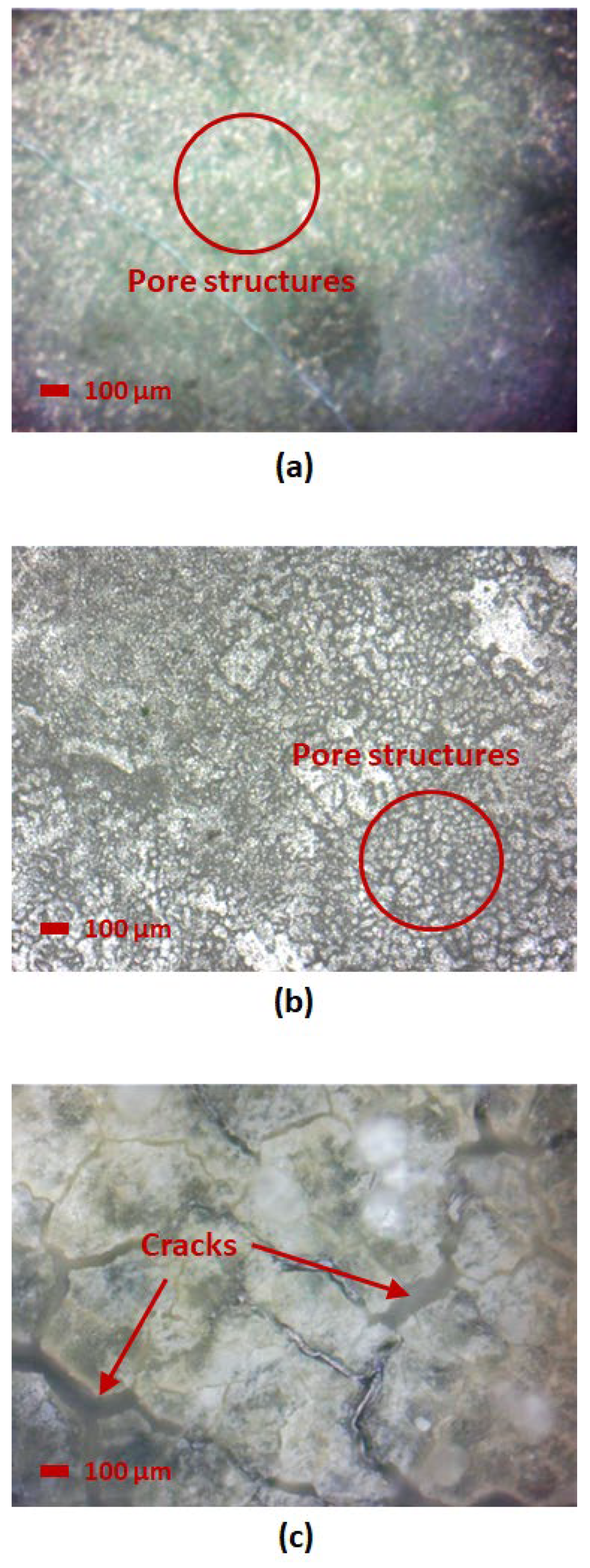 Nanomaterials 15 01508 g011 Nanomaterials 15 01508 g011