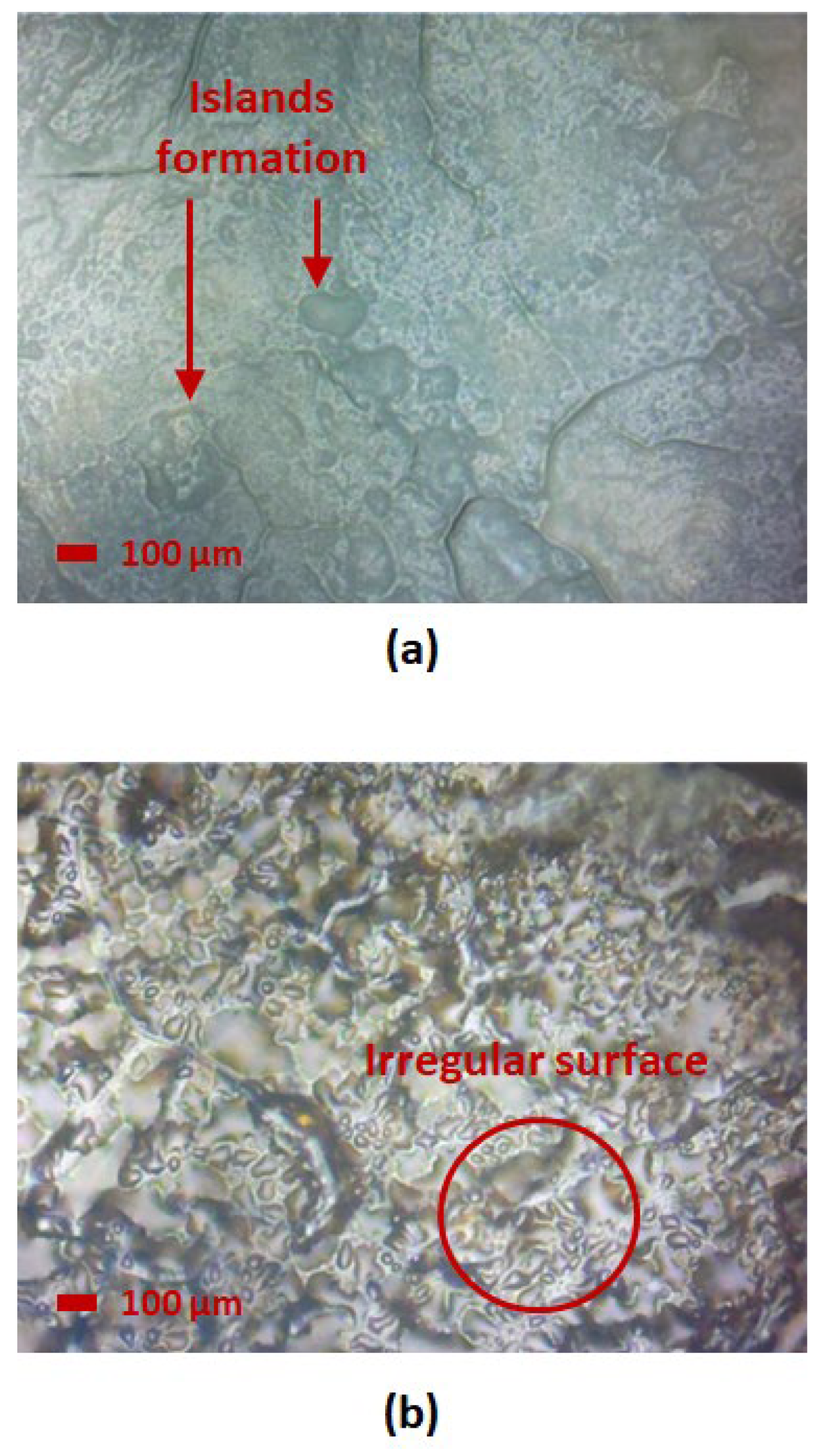 Nanomaterials 15 01508 g012 Nanomaterials 15 01508 g012