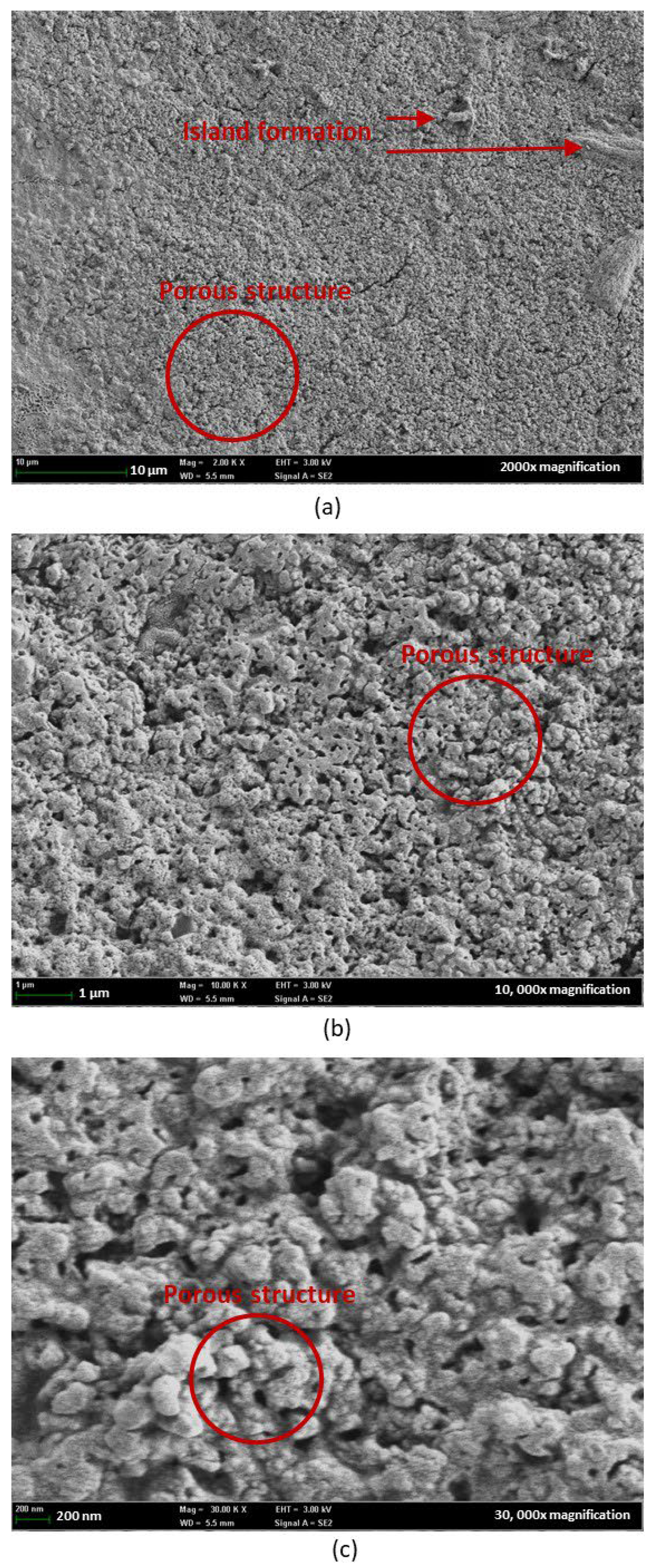 Nanomaterials 15 01508 g014 Nanomaterials 15 01508 g014