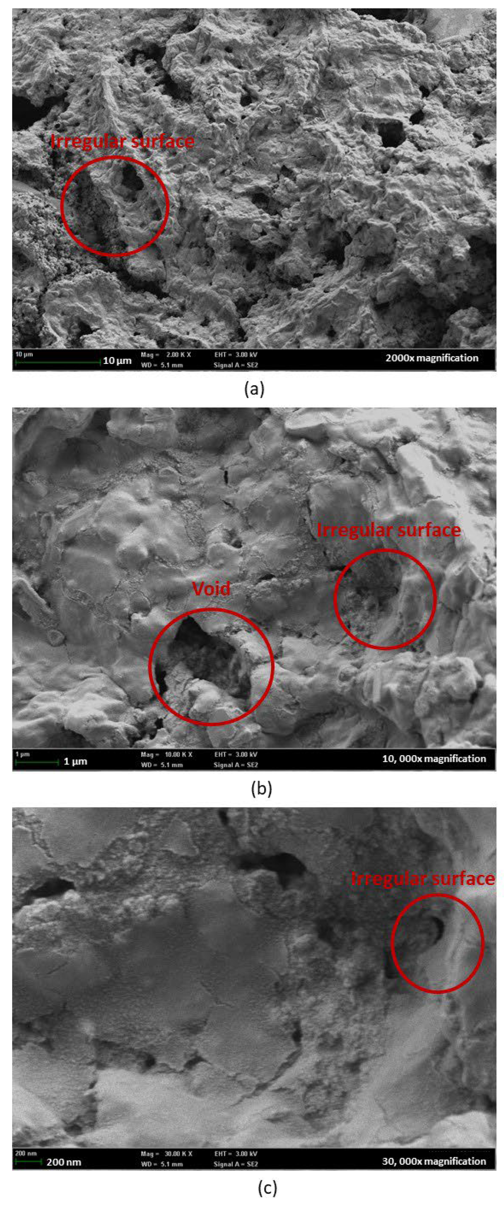 Nanomaterials 15 01508 g015 Nanomaterials 15 01508 g015