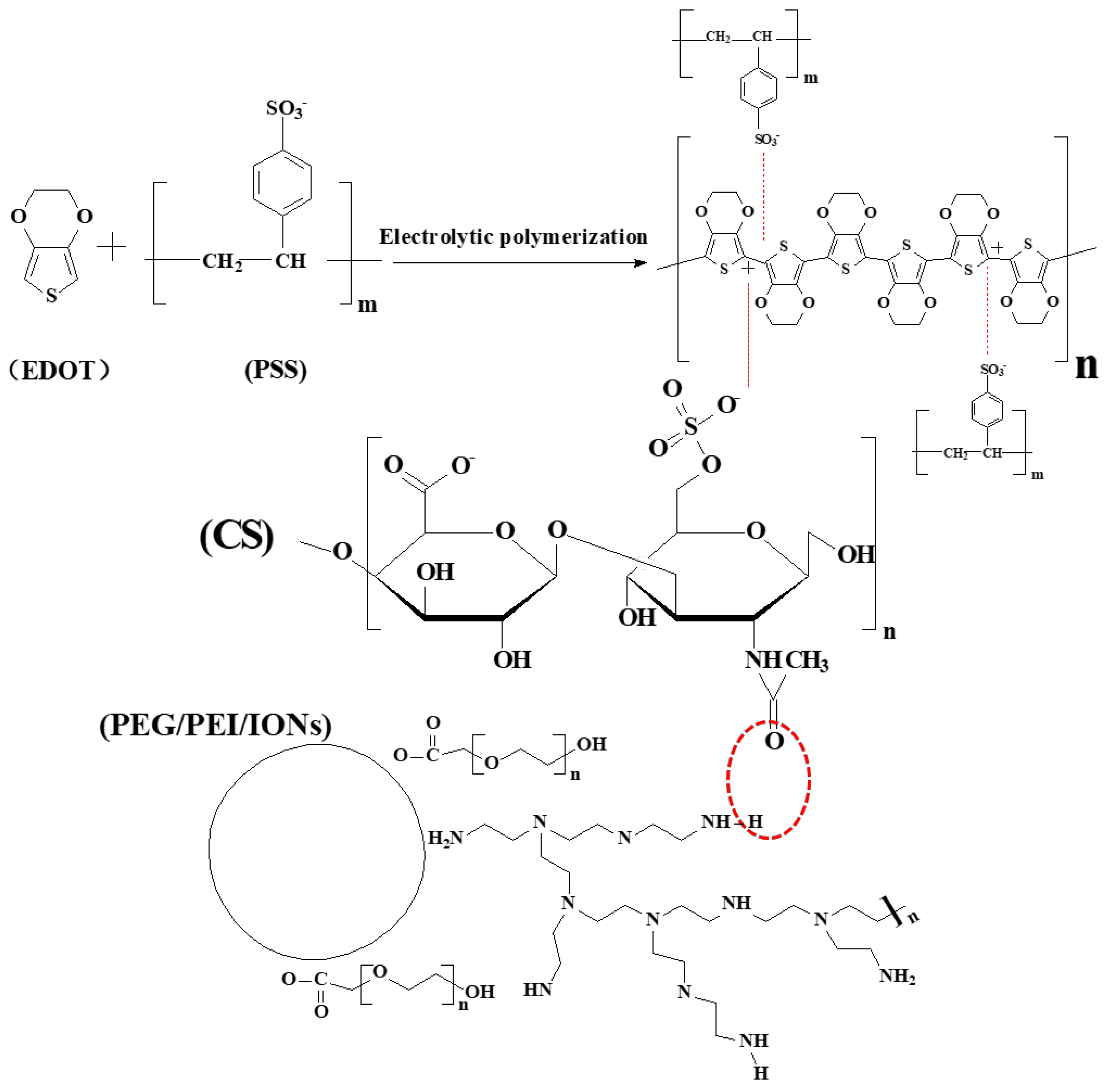 Nanomaterials 15 01511 g002 Nanomaterials 15 01511 g002