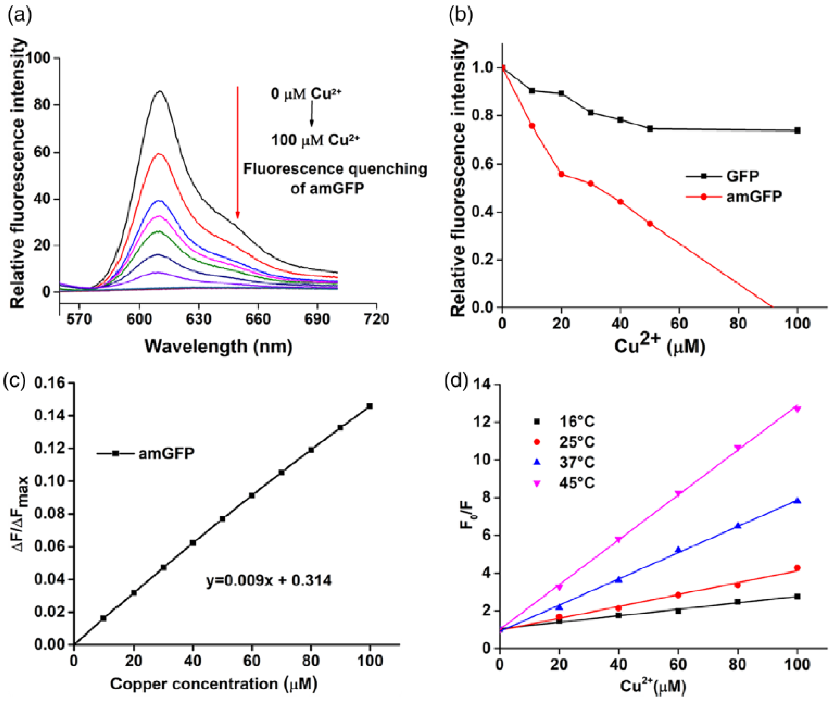 Nanomaterials 15 01512 g023